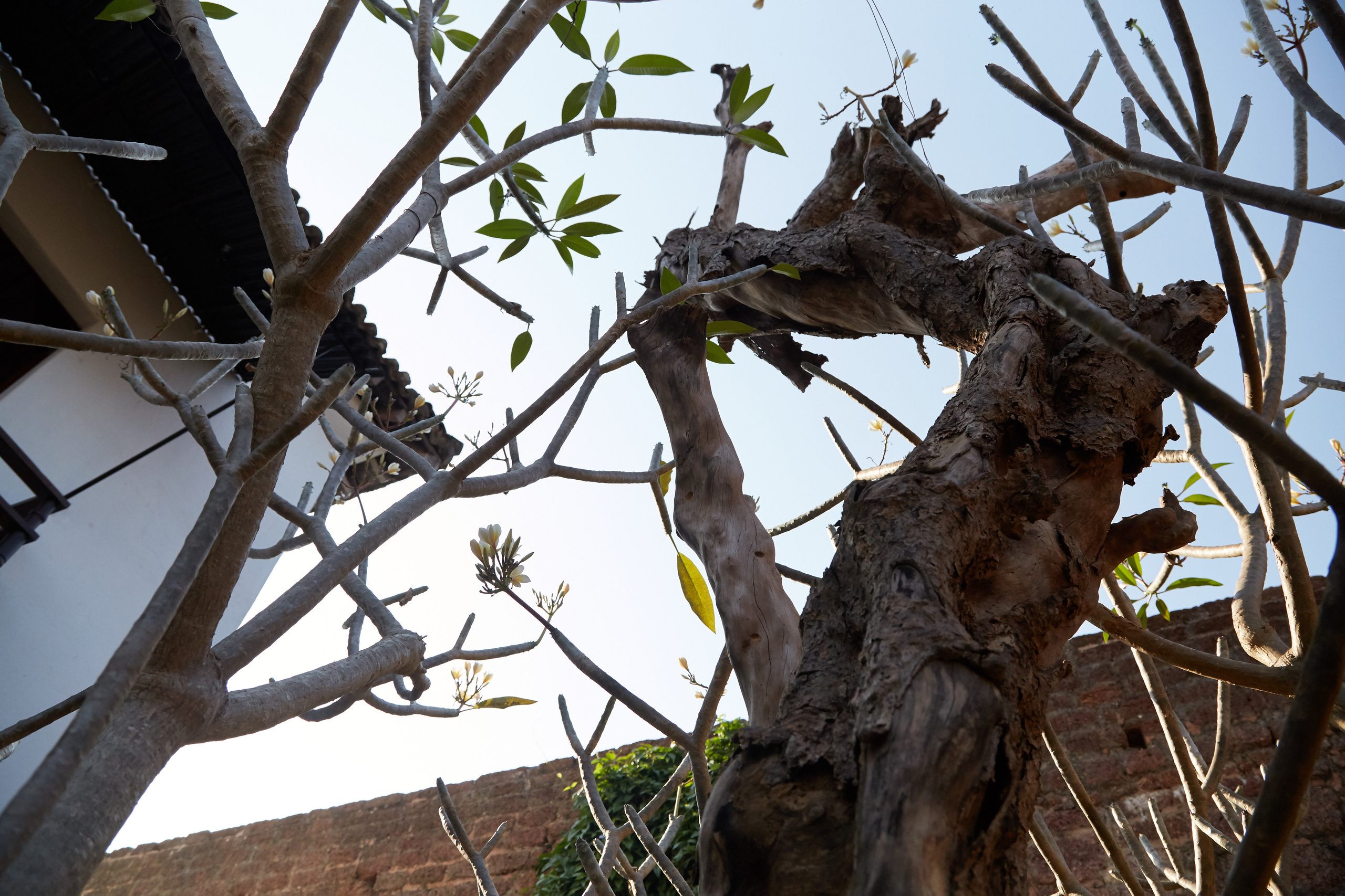 Индия. ГОА, Мумбай, Аджента, Аурангобад. Креативный фотограф в Москве