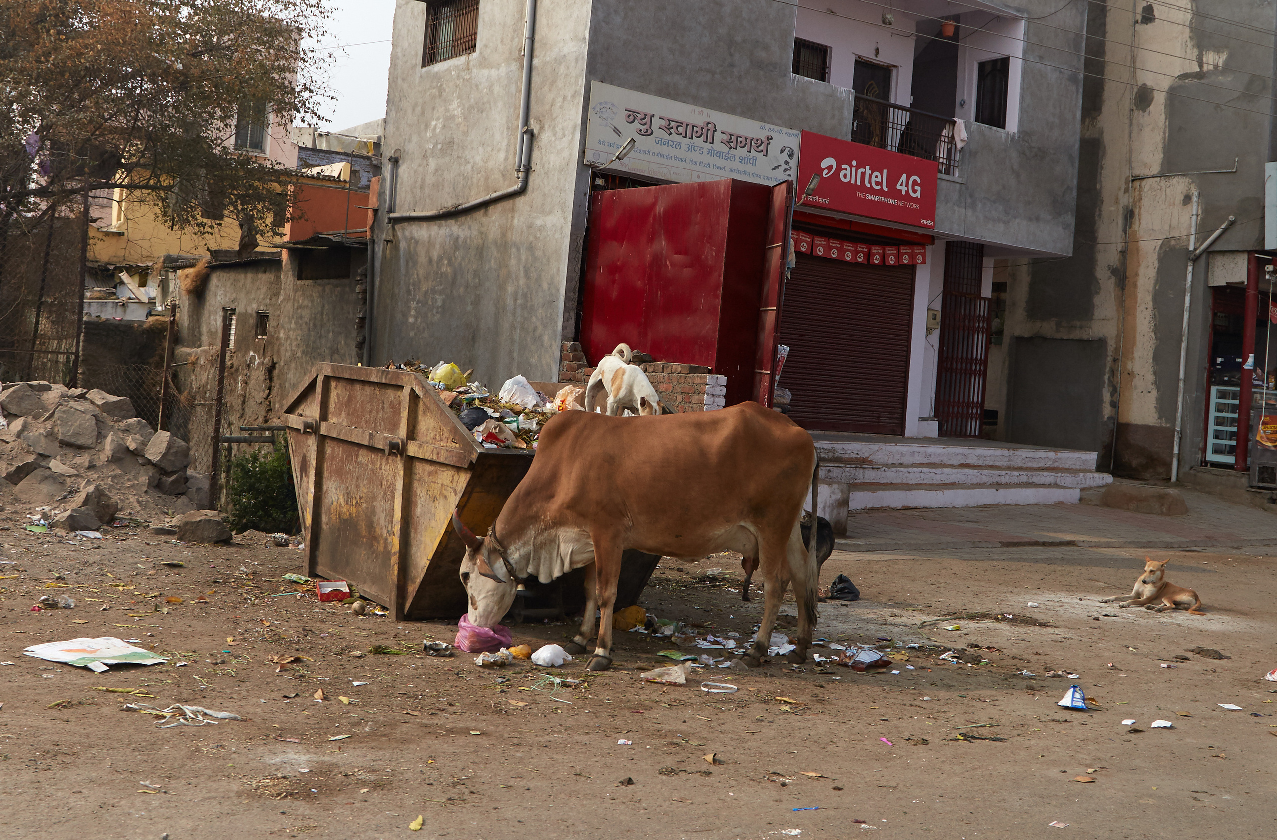 Индия. ГОА, Мумбай, Аджента, Аурангобад. Креативный фотограф в Москве