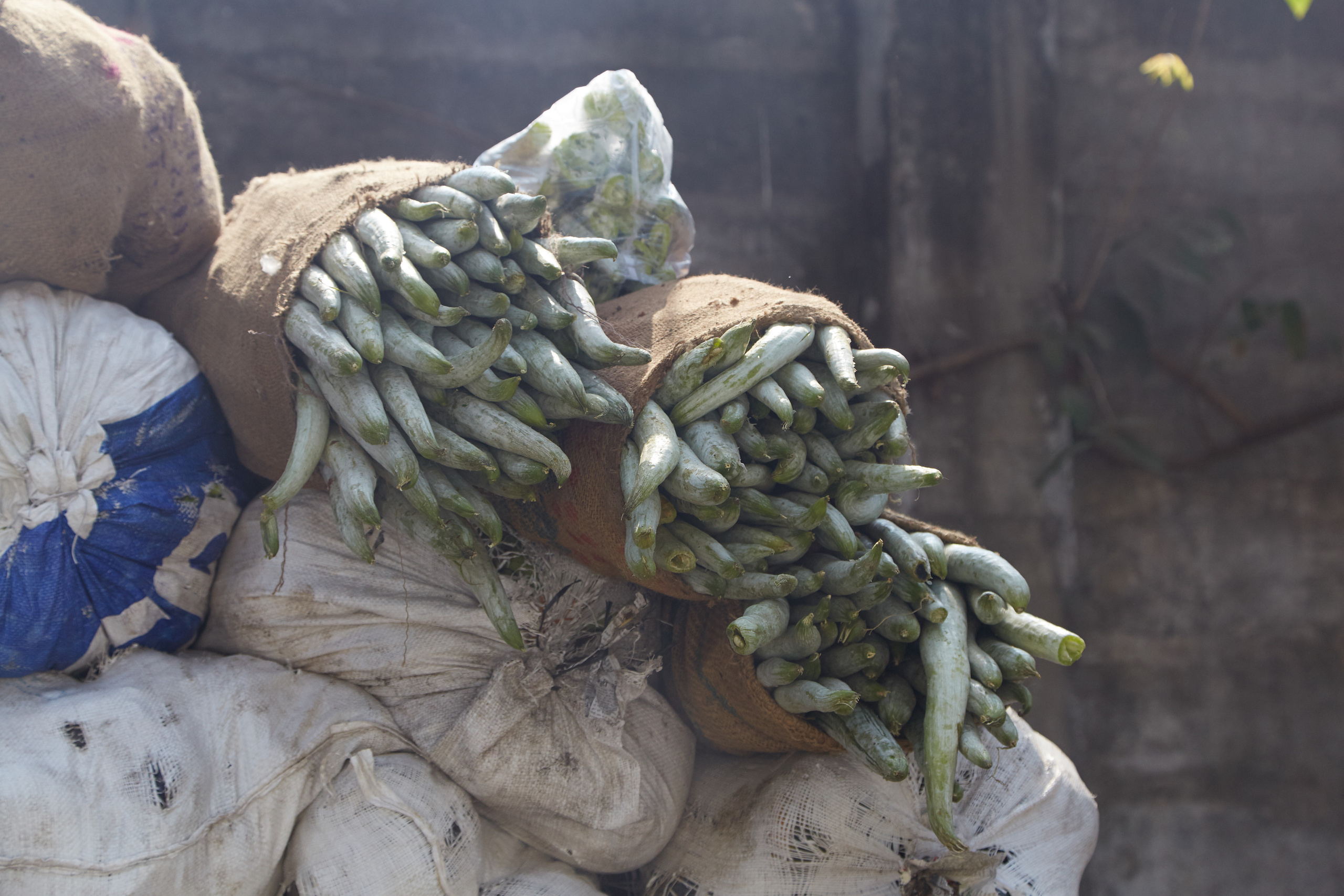 Индия. ГОА, Мумбай, Аджента, Аурангобад. Креативный фотограф в Москве