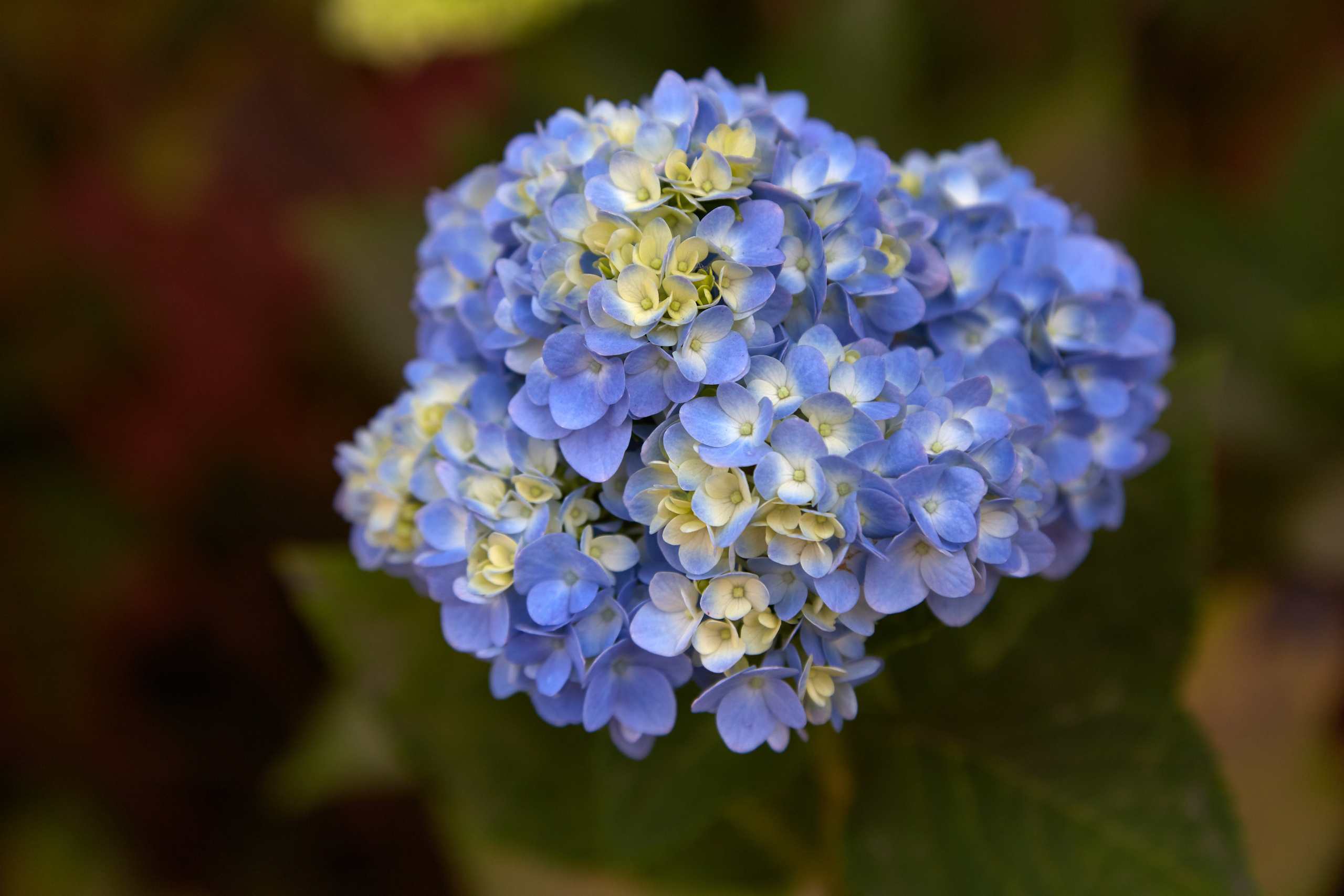 Индия. ГОА, Мумбай, Аджента, Аурангобад. Креативный фотограф в Москве