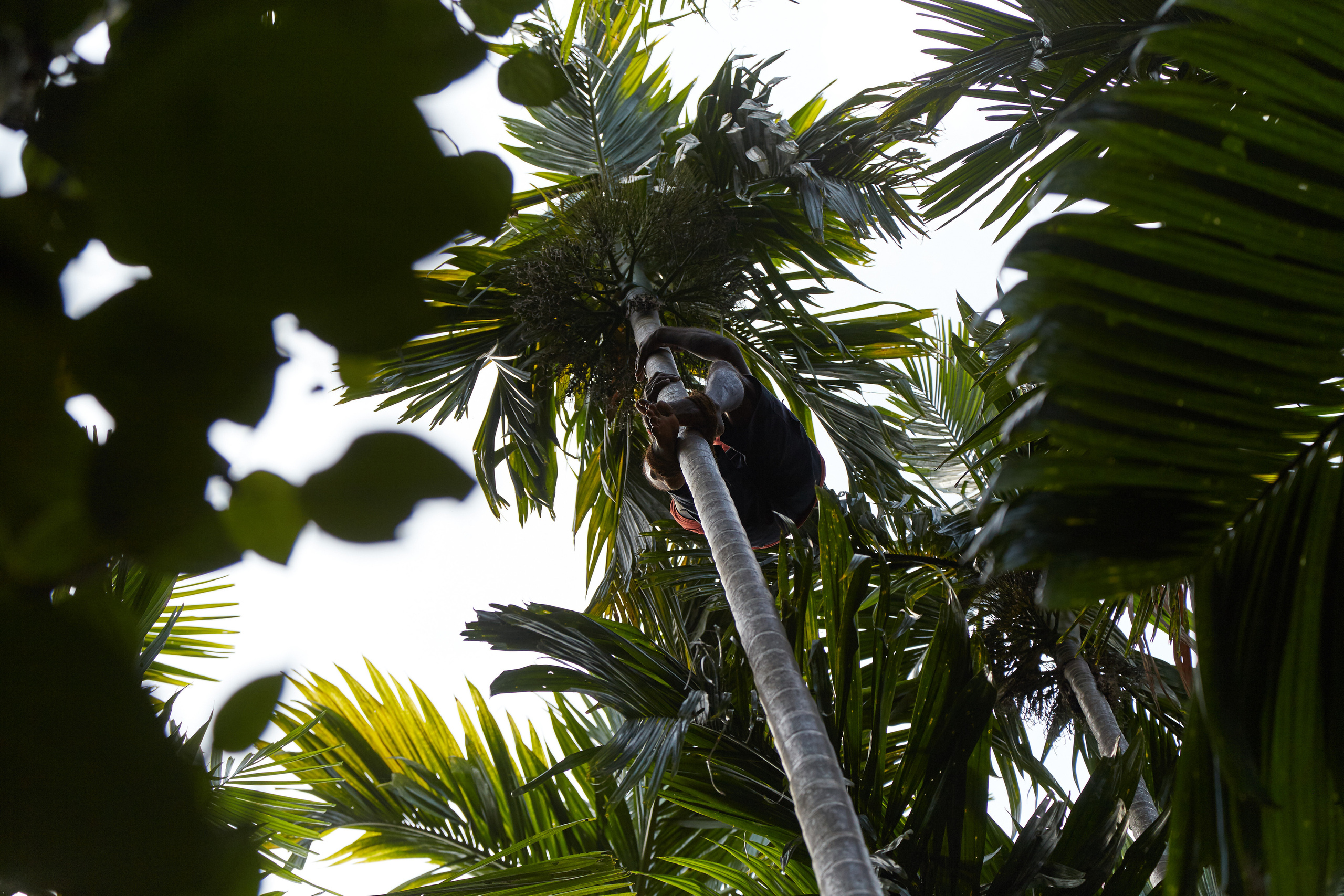 Индия. ГОА, Мумбай, Аджента, Аурангобад. Креативный фотограф в Москве