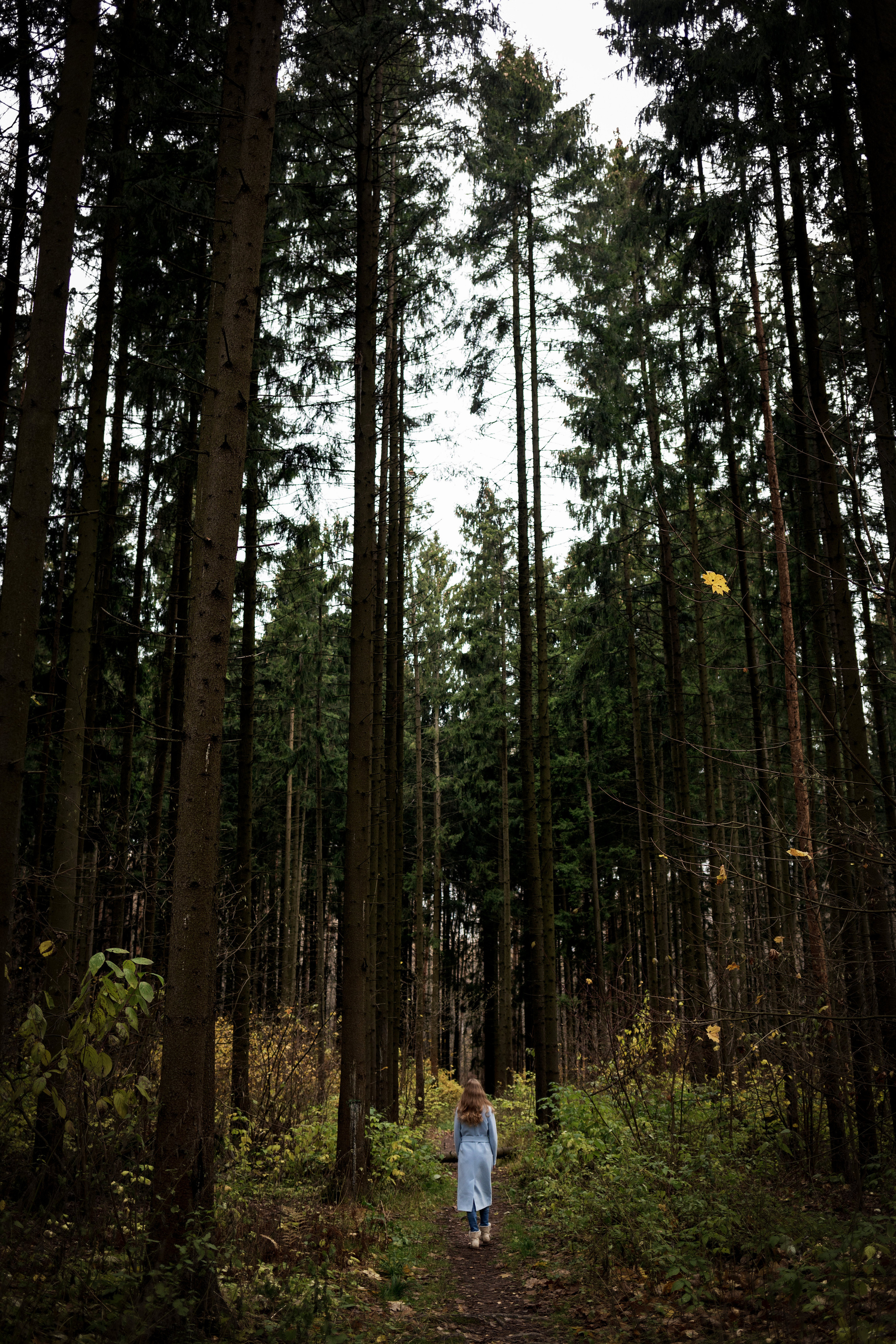 Анастасия. Креативный фотограф в Москве