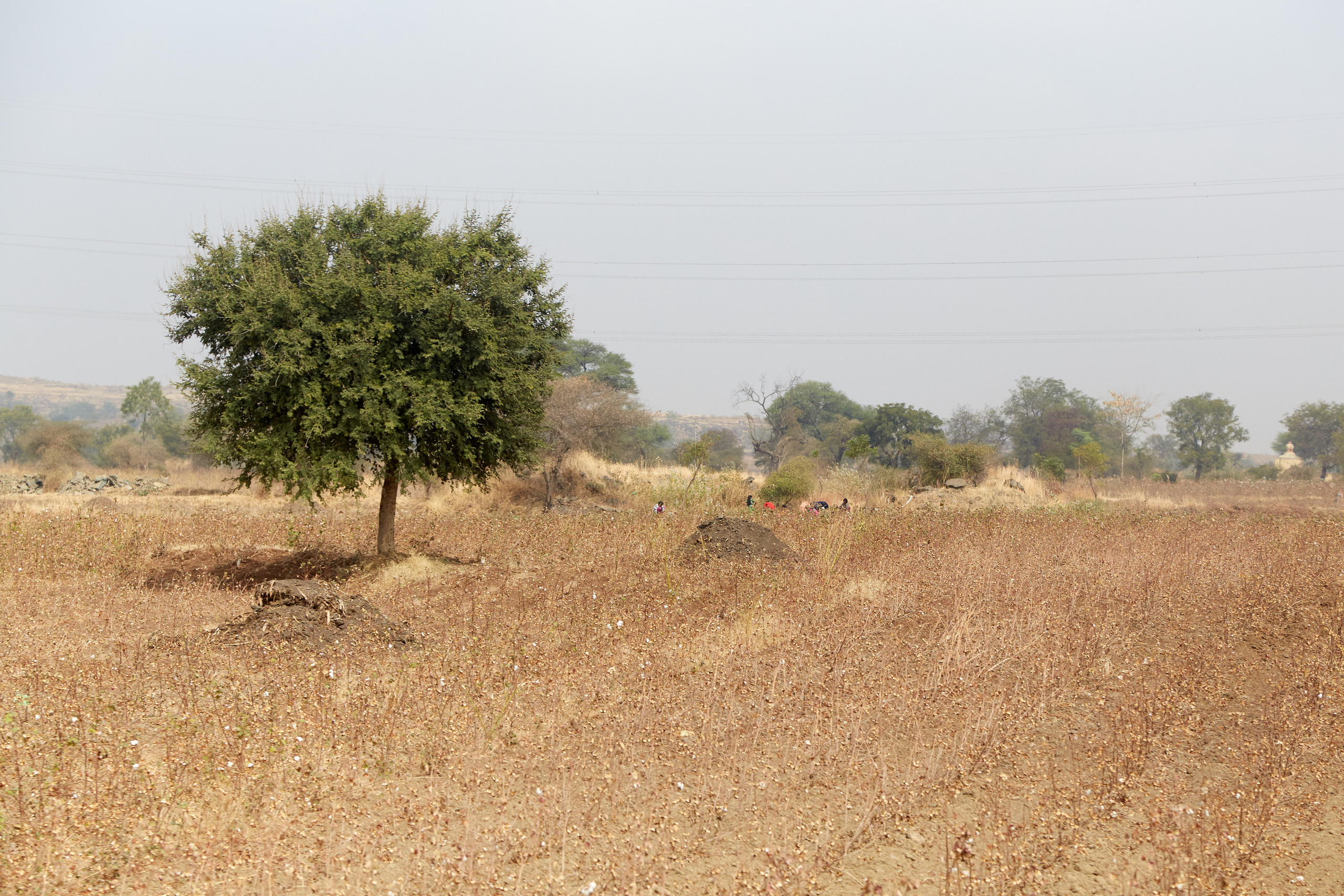 Индия. ГОА, Мумбай, Аджента, Аурангобад. Креативный фотограф в Москве