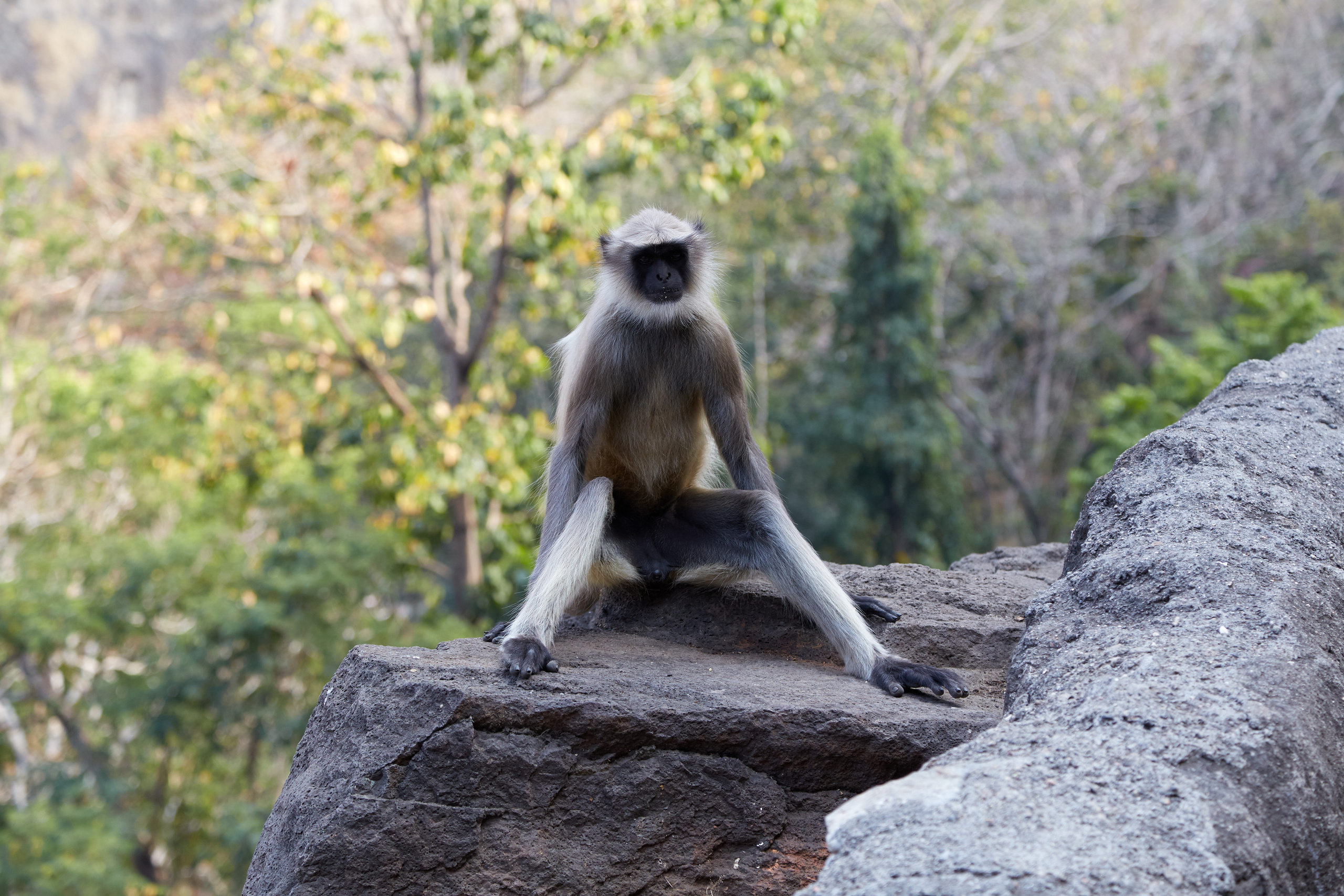 Индия. ГОА, Мумбай, Аджента, Аурангобад. Креативный фотограф в Москве