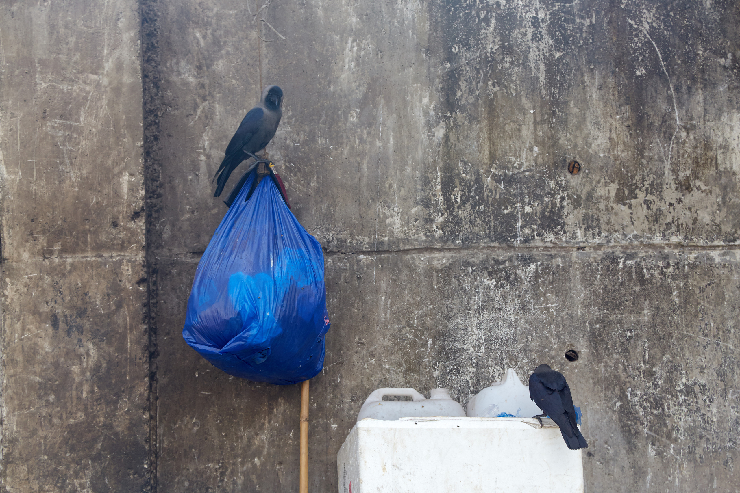 Индия. ГОА, Мумбай, Аджента, Аурангобад. Креативный фотограф в Москве