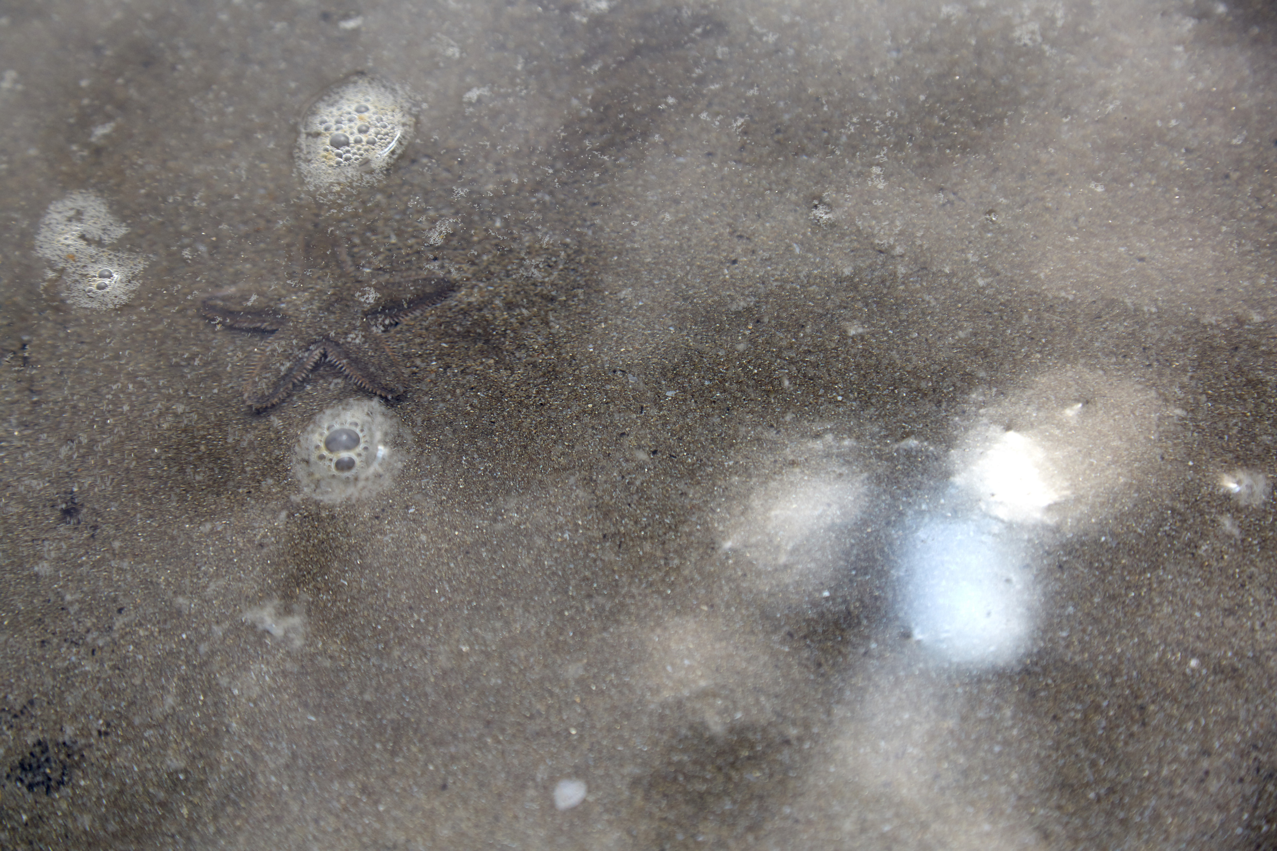 Индия. ГОА, Мумбай, Аджента, Аурангобад. Креативный фотограф в Москве