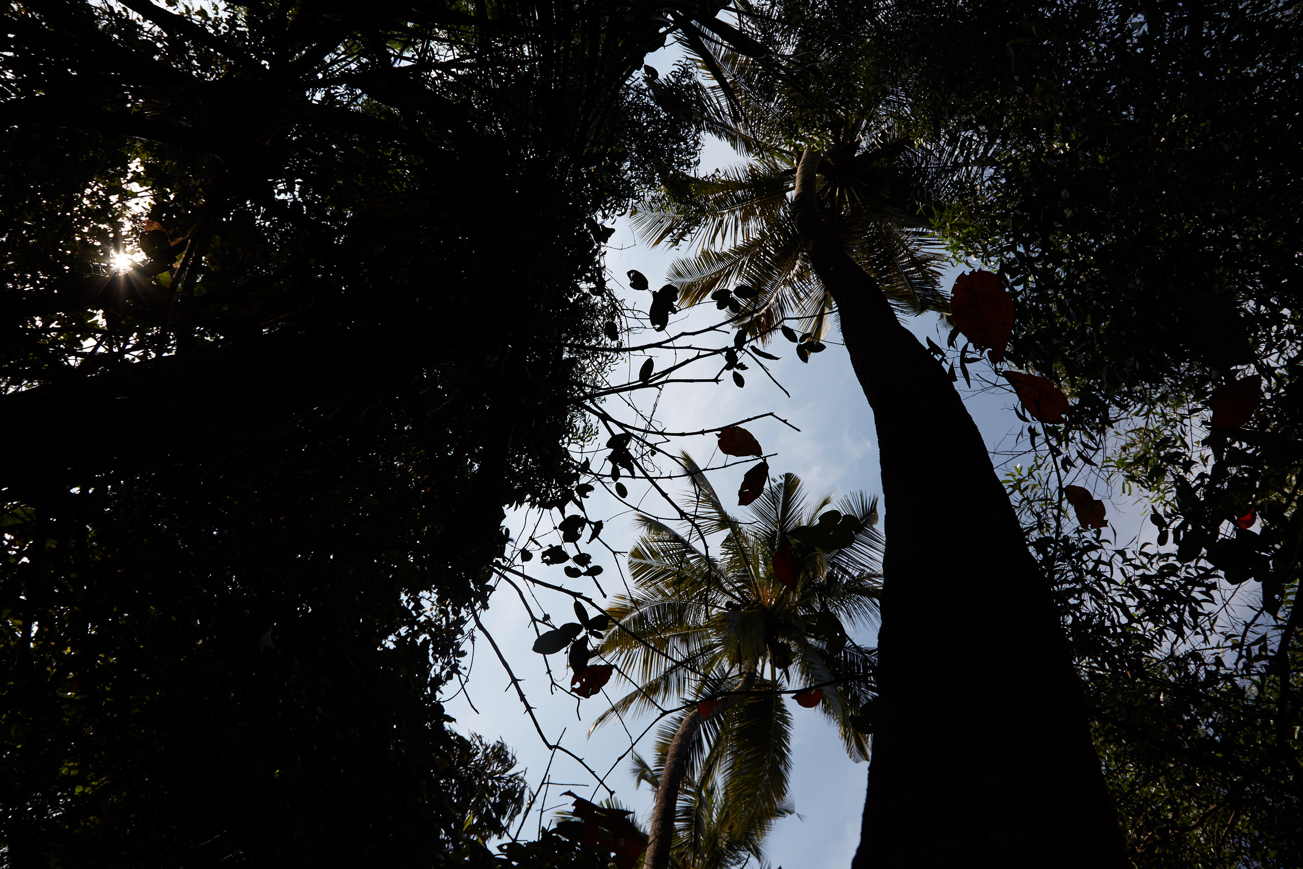 Индия. ГОА, Мумбай, Аджента, Аурангобад. Креативный фотограф в Москве
