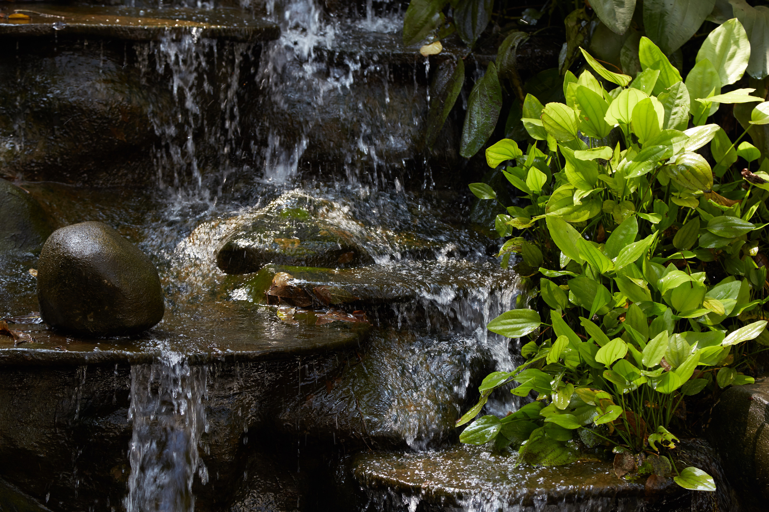 Индия. ГОА, Мумбай, Аджента, Аурангобад. Креативный фотограф в Москве