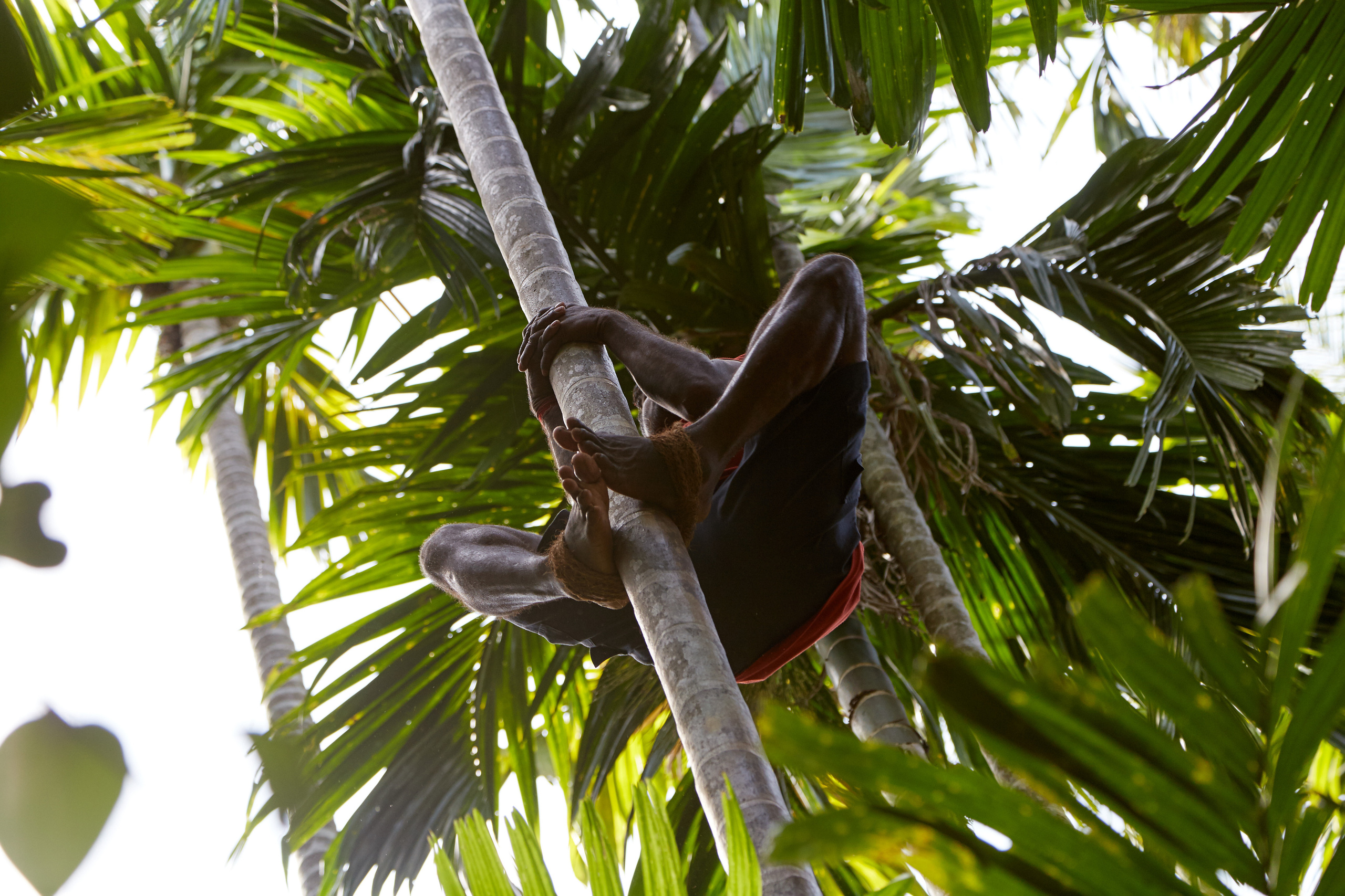 Индия. ГОА, Мумбай, Аджента, Аурангобад. Креативный фотограф в Москве