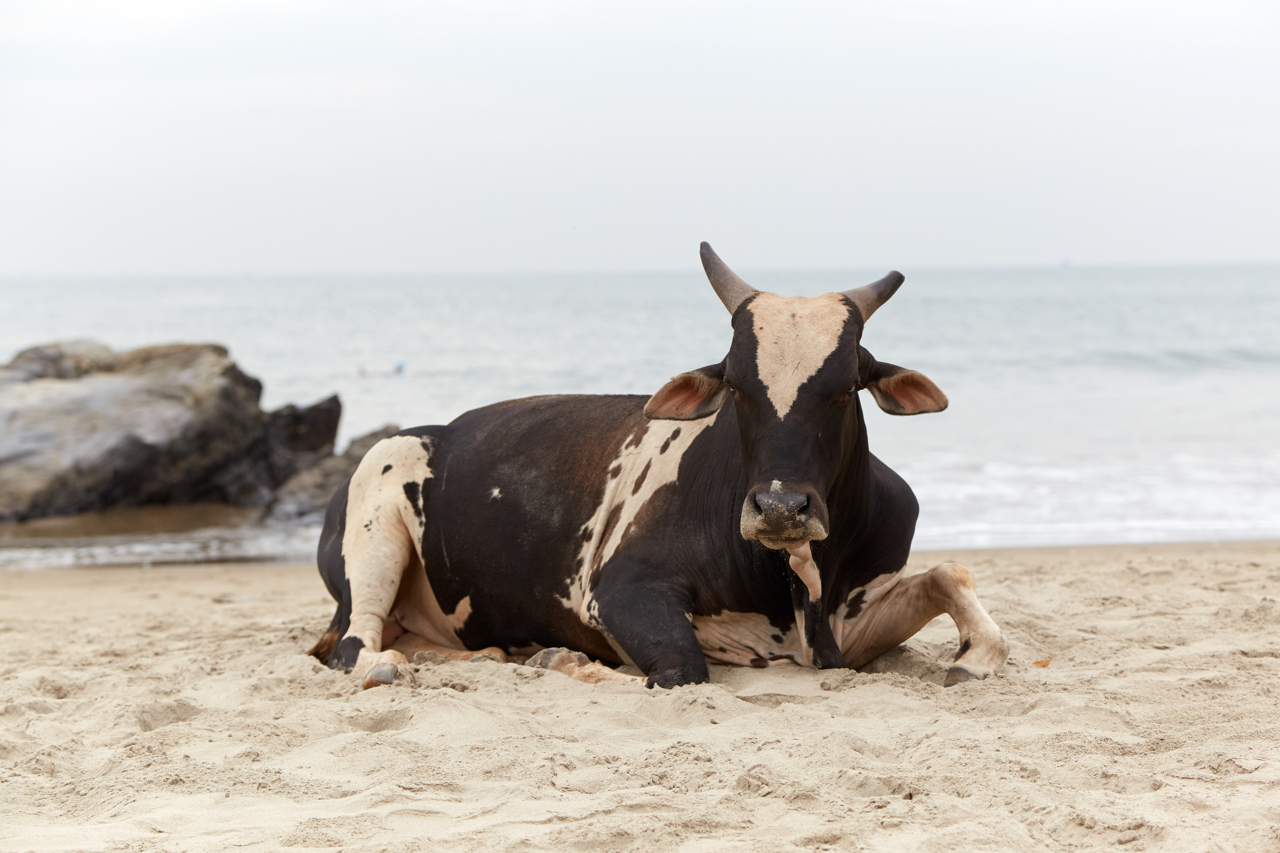 Индия. ГОА, Мумбай, Аджента, Аурангобад. Креативный фотограф в Москве