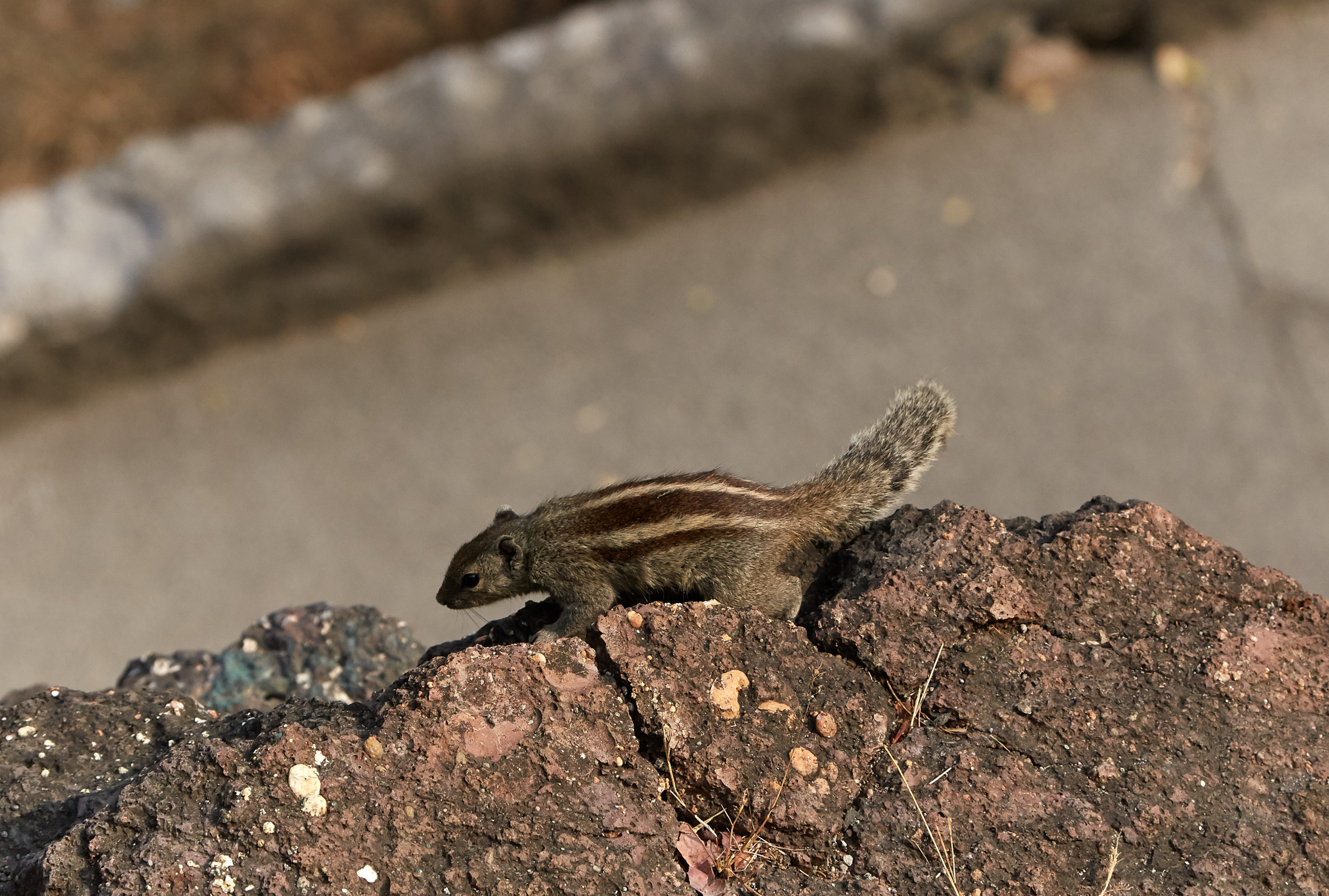 Индия. ГОА, Мумбай, Аджента, Аурангобад. Креативный фотограф в Москве