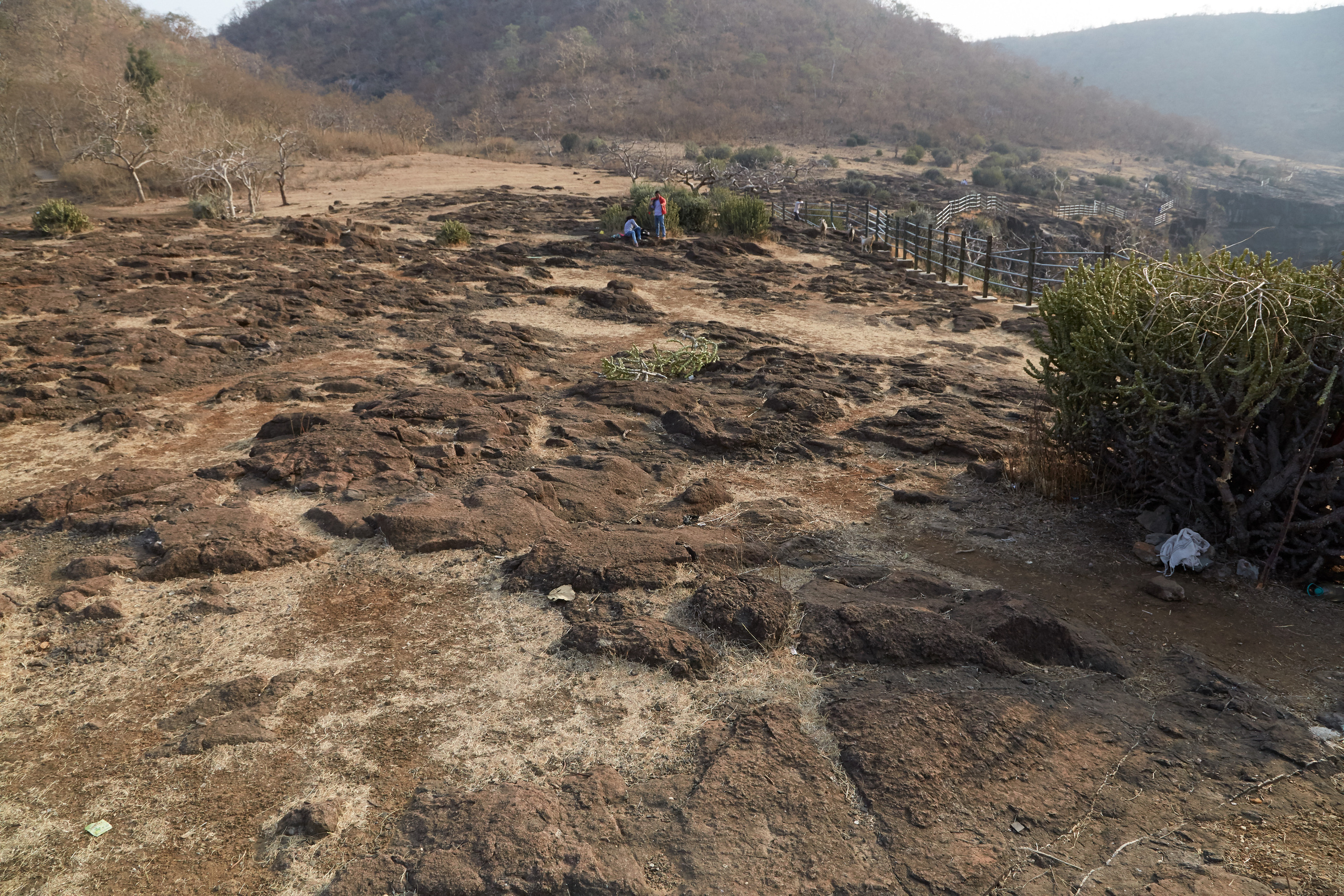 Индия. ГОА, Мумбай, Аджента, Аурангобад. Креативный фотограф в Москве