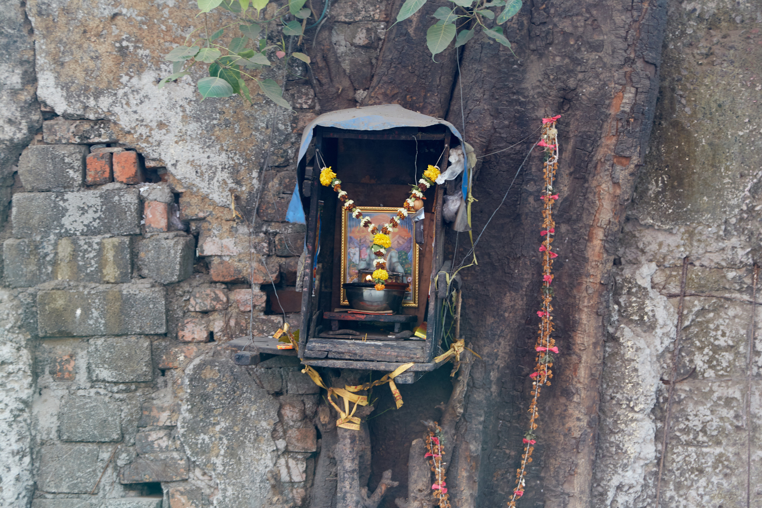 Индия. ГОА, Мумбай, Аджента, Аурангобад. Креативный фотограф в Москве