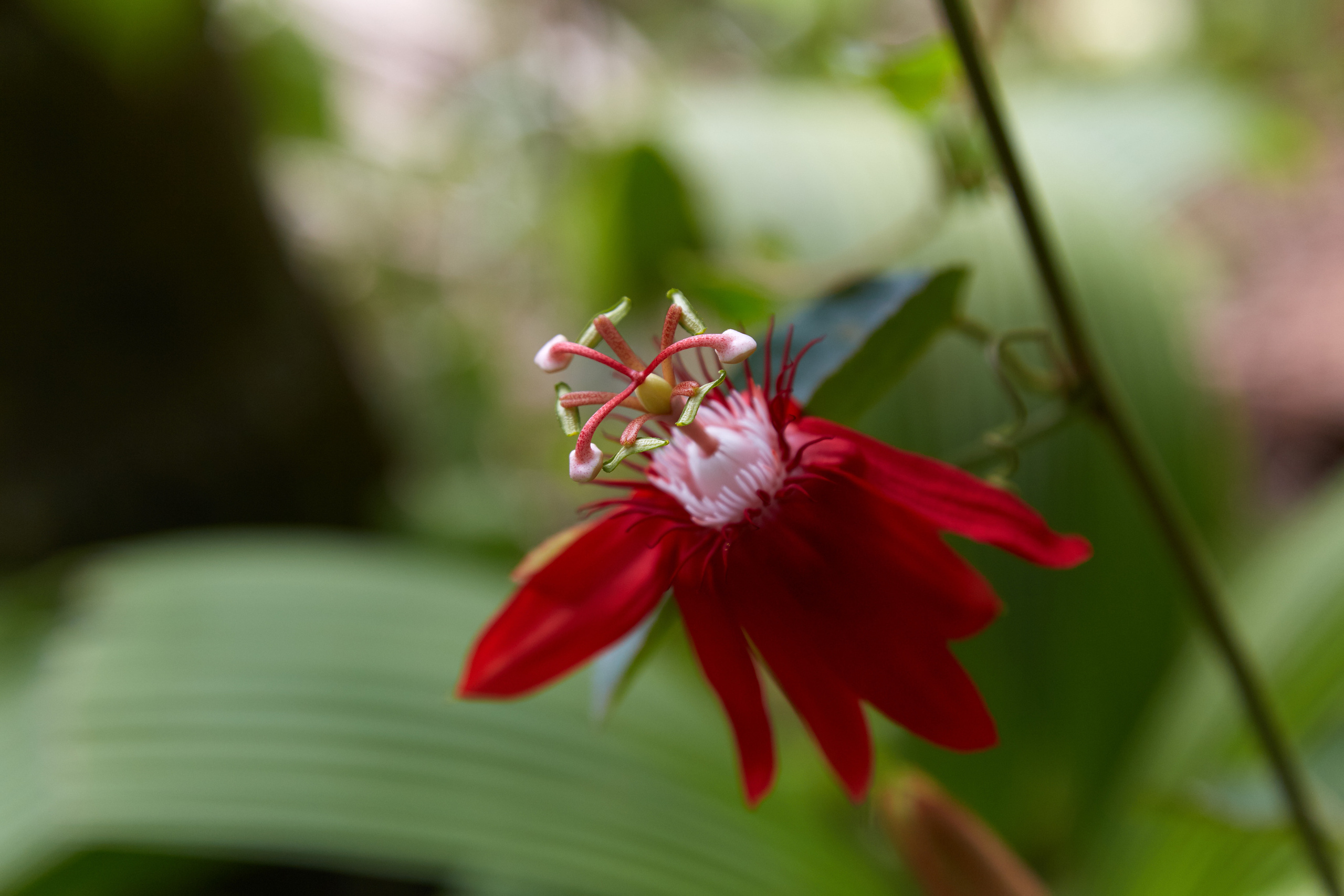 Индия. ГОА, Мумбай, Аджента, Аурангобад. Креативный фотограф в Москве