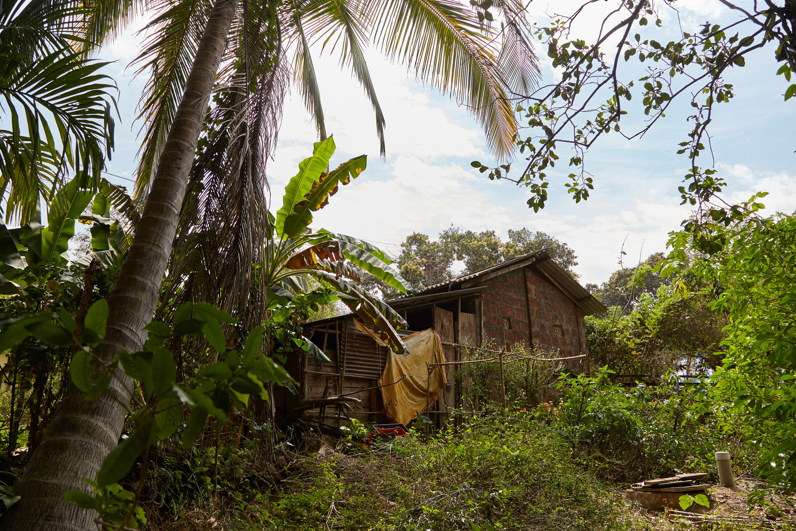 Индия. ГОА, Мумбай, Аджента, Аурангобад. Креативный фотограф в Москве