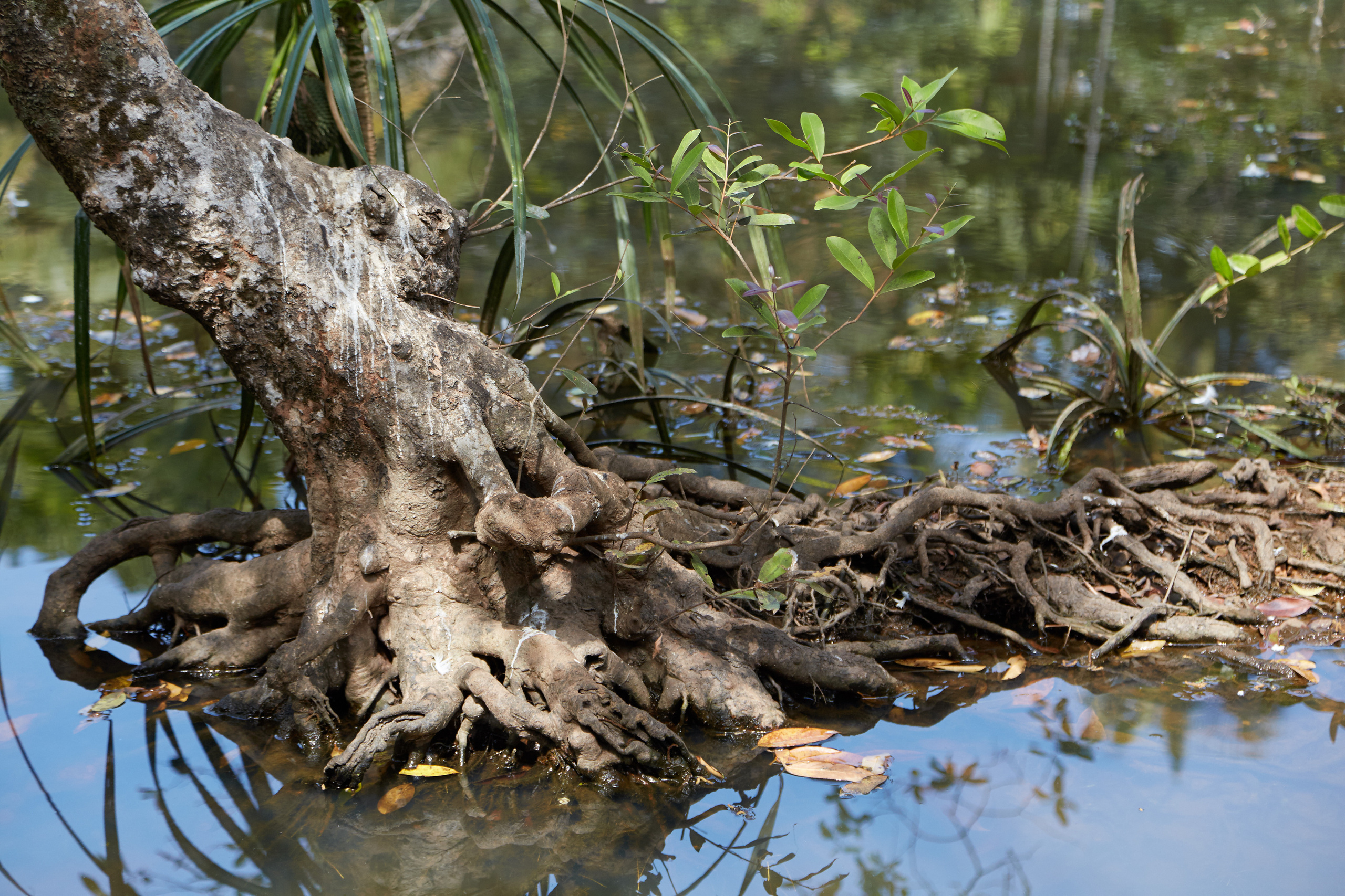 Индия. ГОА, Мумбай, Аджента, Аурангобад. Креативный фотограф в Москве