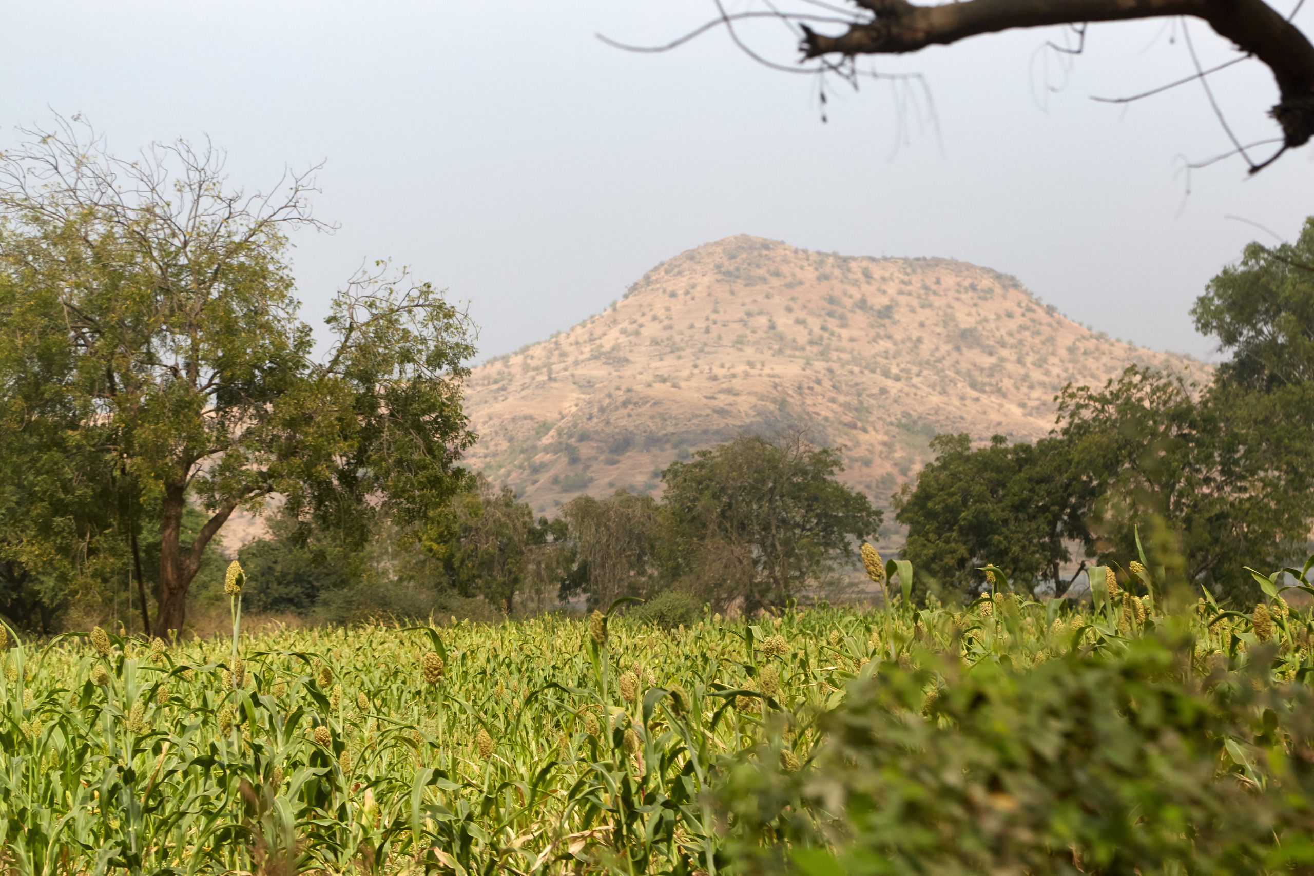 Индия. ГОА, Мумбай, Аджента, Аурангобад. Креативный фотограф в Москве