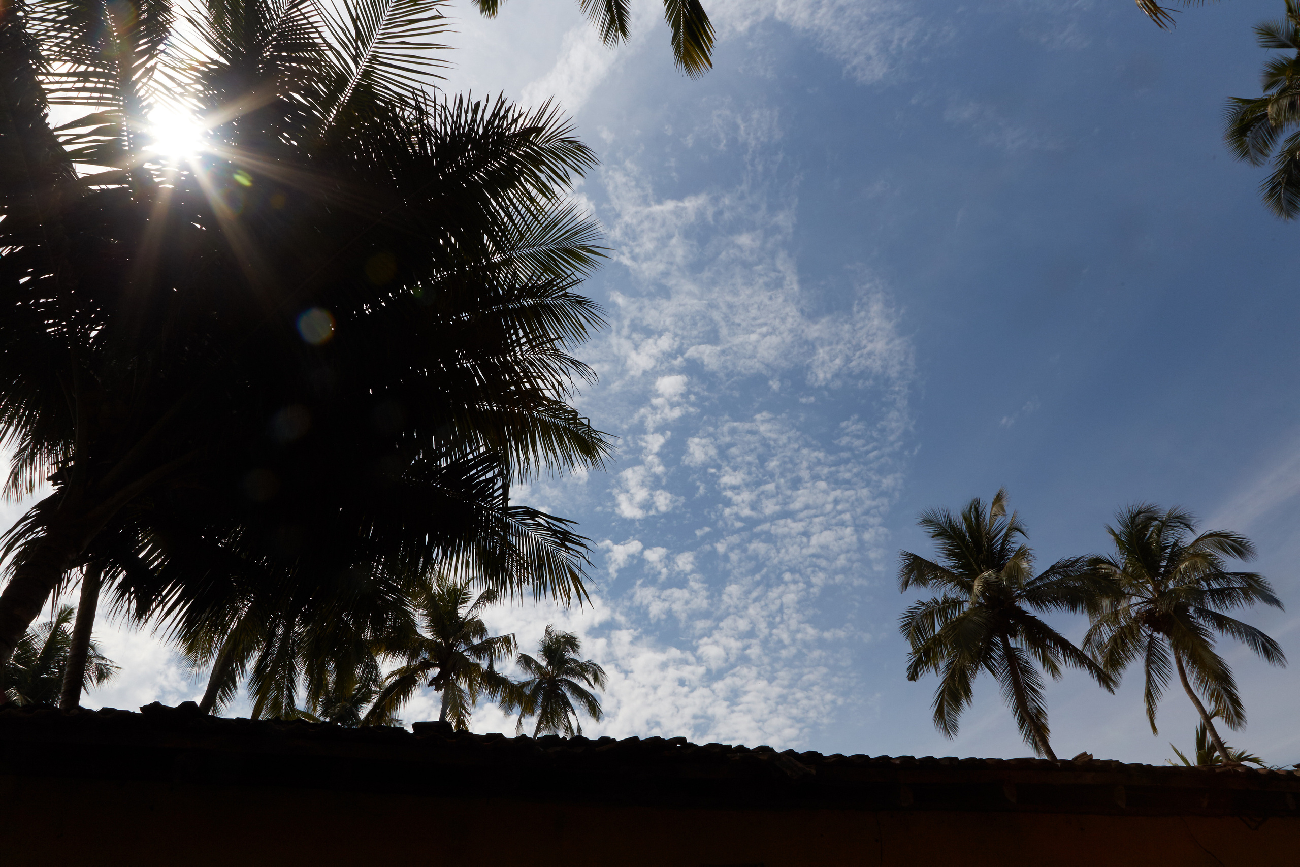 Индия. ГОА, Мумбай, Аджента, Аурангобад. Креативный фотограф в Москве