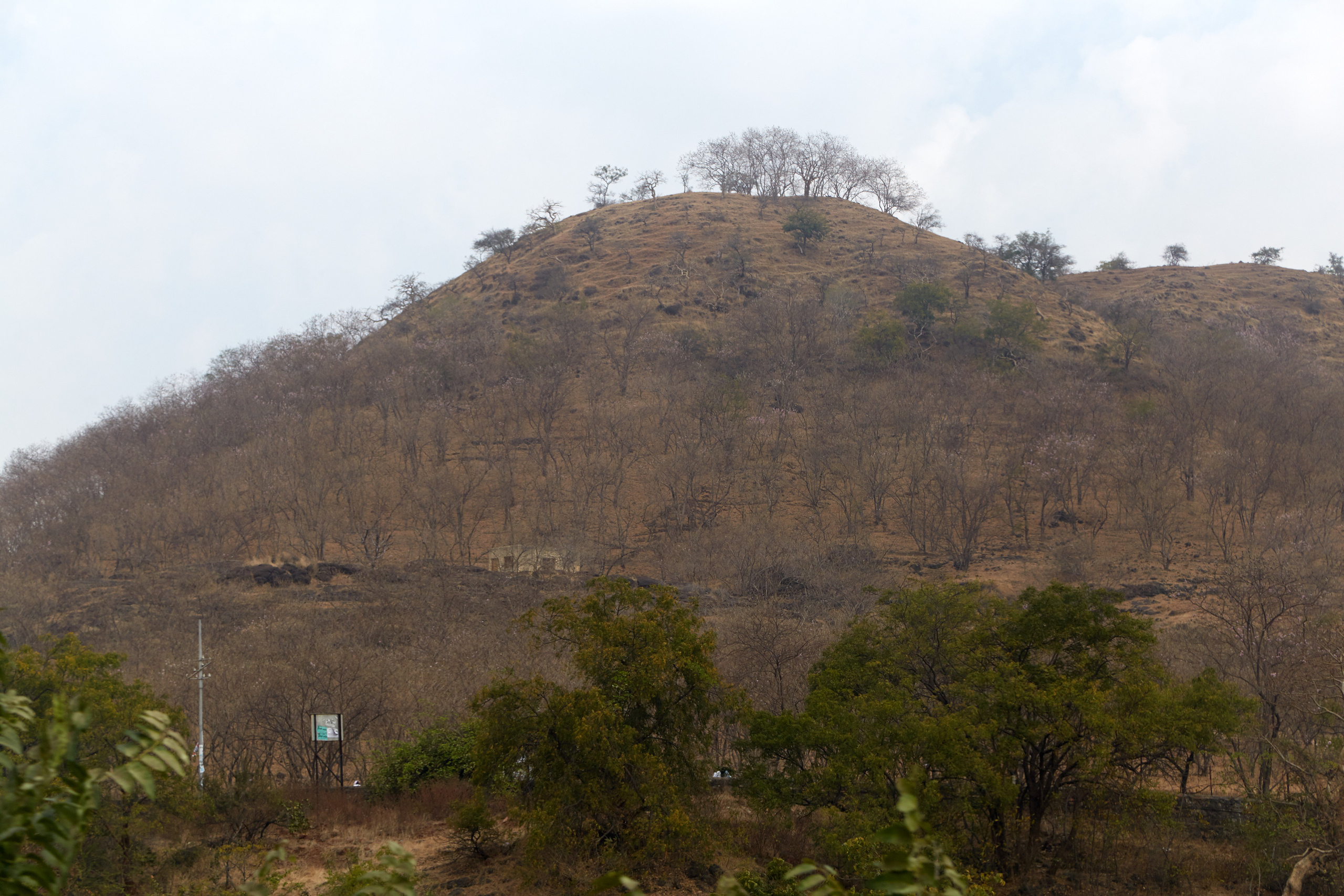 Индия. ГОА, Мумбай, Аджента, Аурангобад. Креативный фотограф в Москве