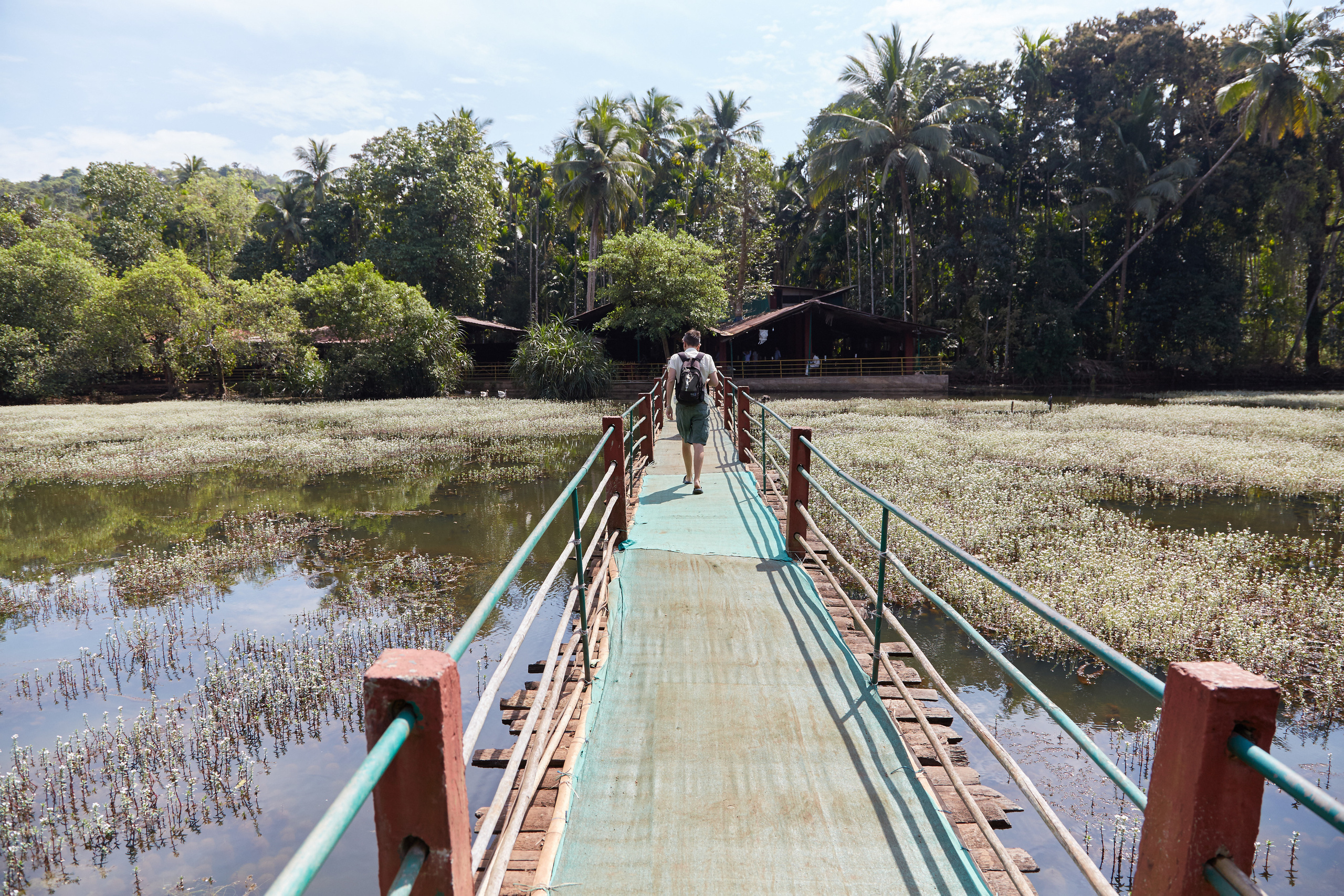 Индия. ГОА, Мумбай, Аджента, Аурангобад. Креативный фотограф в Москве