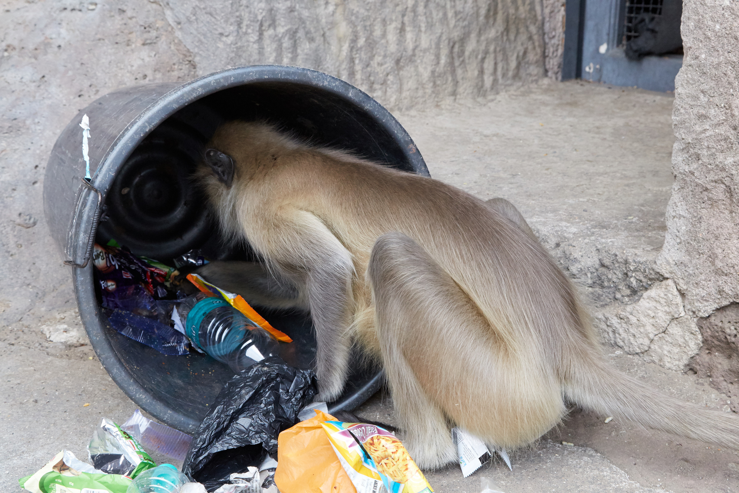 Индия. ГОА, Мумбай, Аджента, Аурангобад. Креативный фотограф в Москве