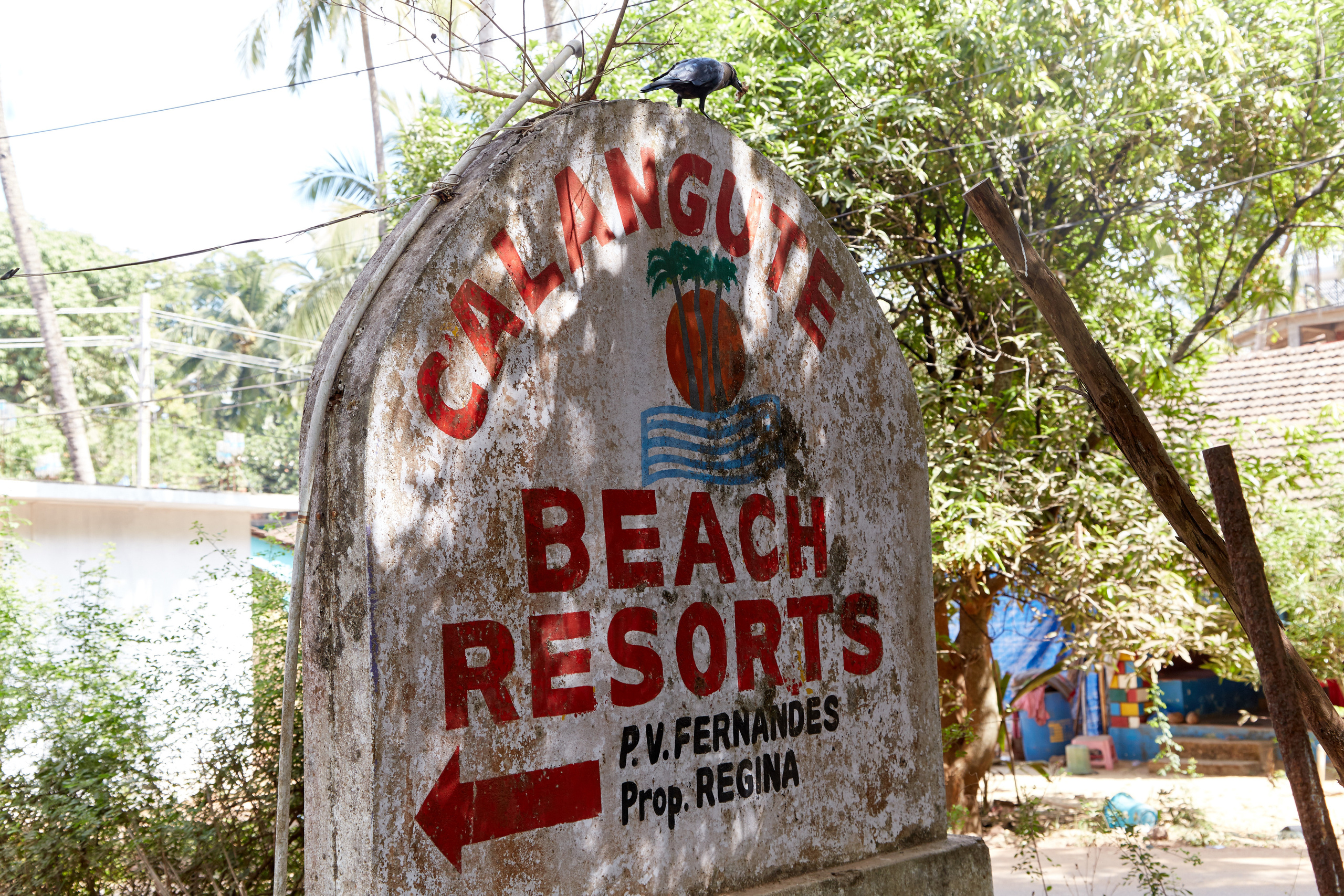 Индия. ГОА, Мумбай, Аджента, Аурангобад. Креативный фотограф в Москве