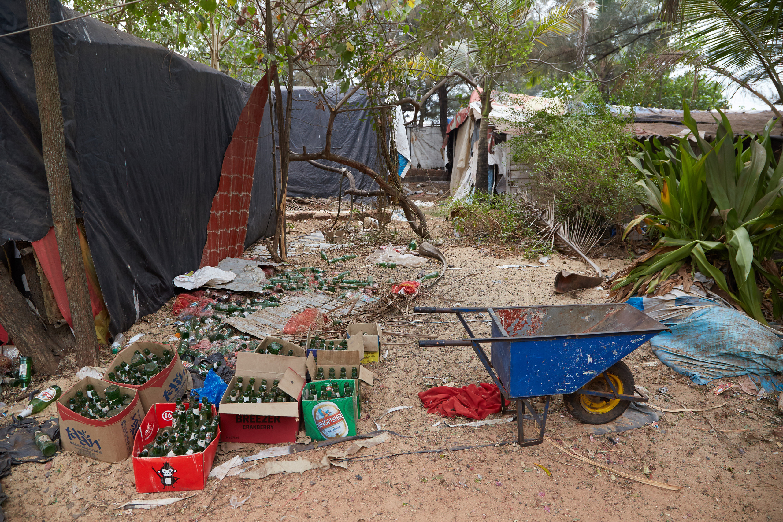 Индия. ГОА, Мумбай, Аджента, Аурангобад. Креативный фотограф в Москве