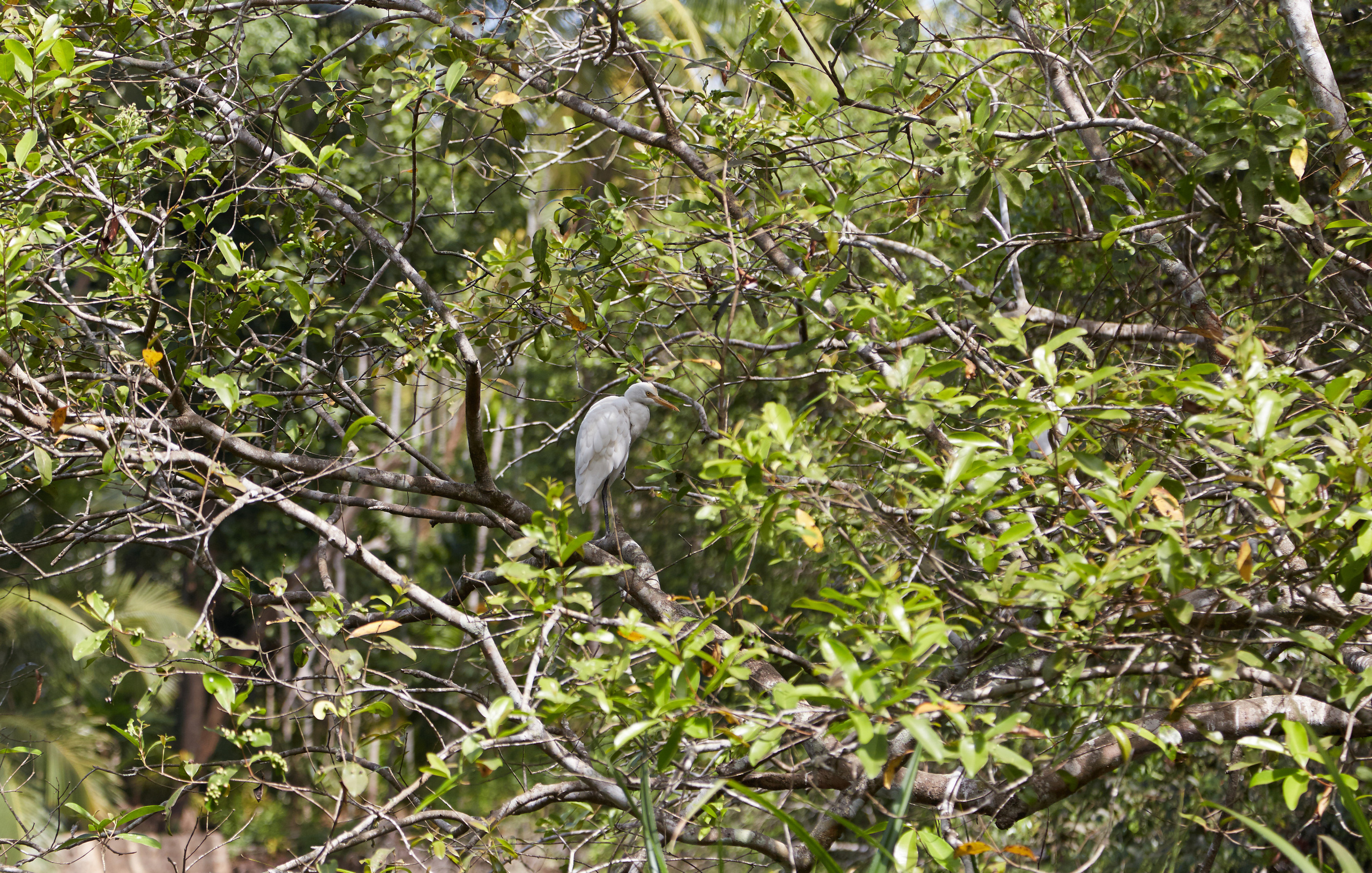 Индия. ГОА, Мумбай, Аджента, Аурангобад. Креативный фотограф в Москве