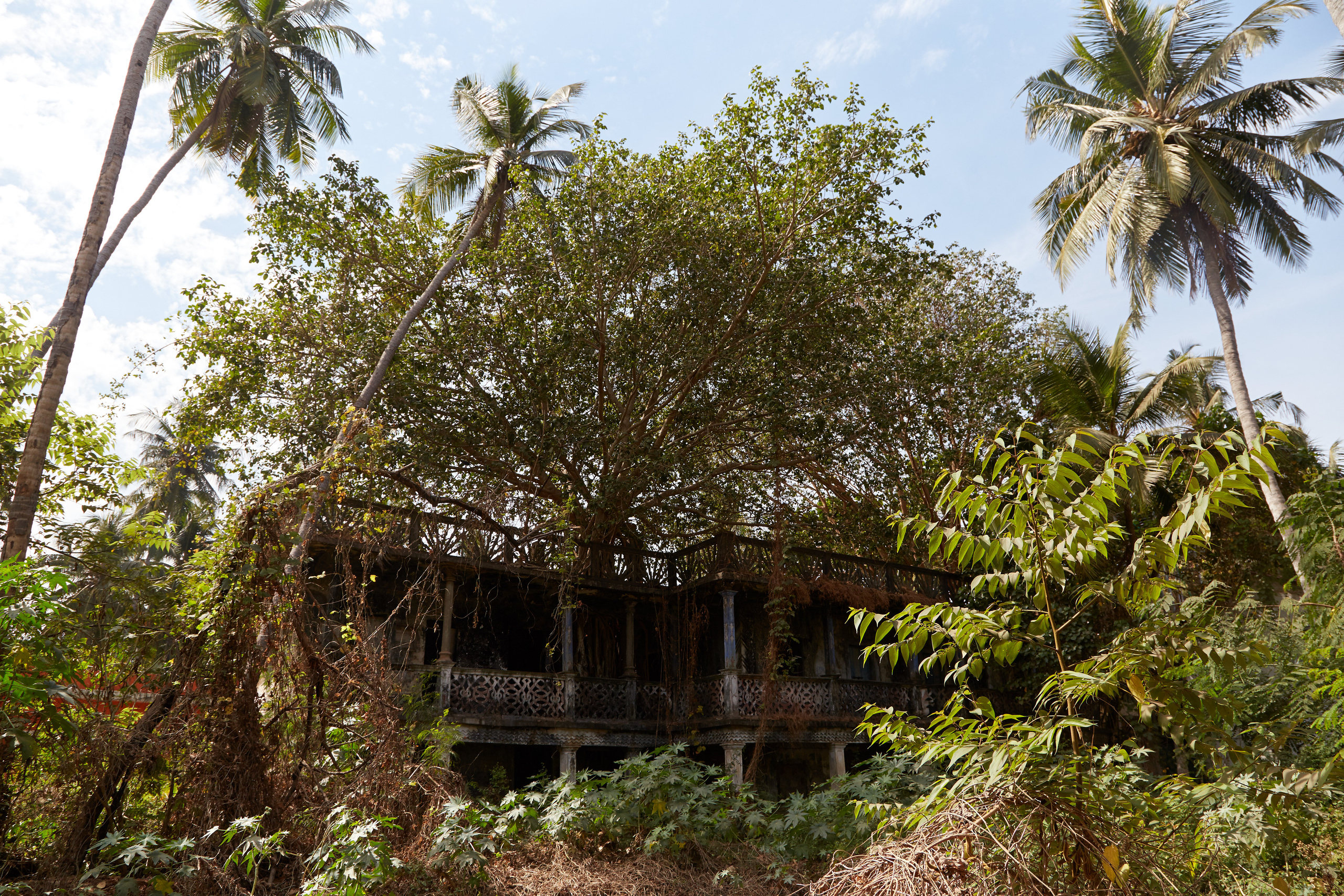 Индия. ГОА, Мумбай, Аджента, Аурангобад. Креативный фотограф в Москве