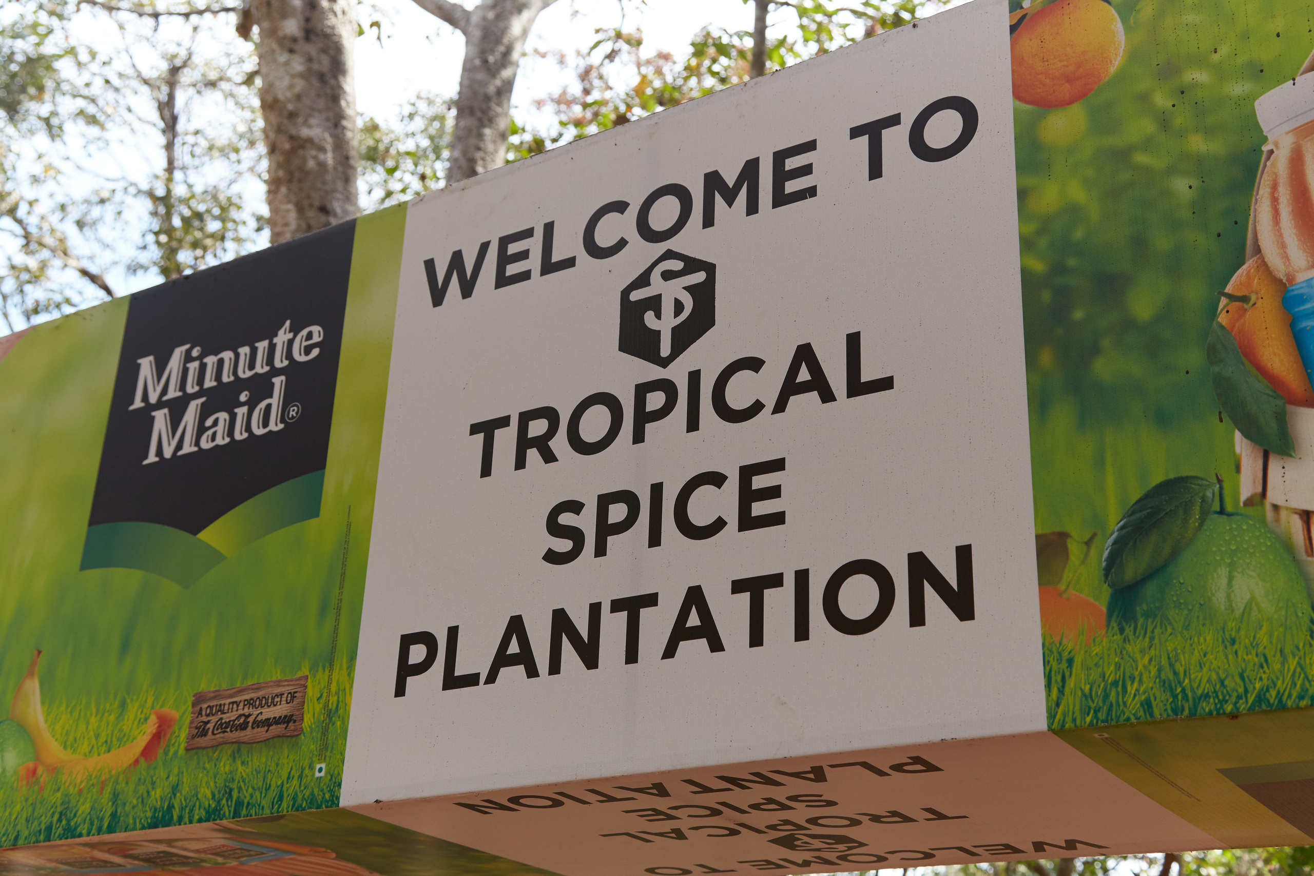 Индия. ГОА, Мумбай, Аджента, Аурангобад. Креативный фотограф в Москве