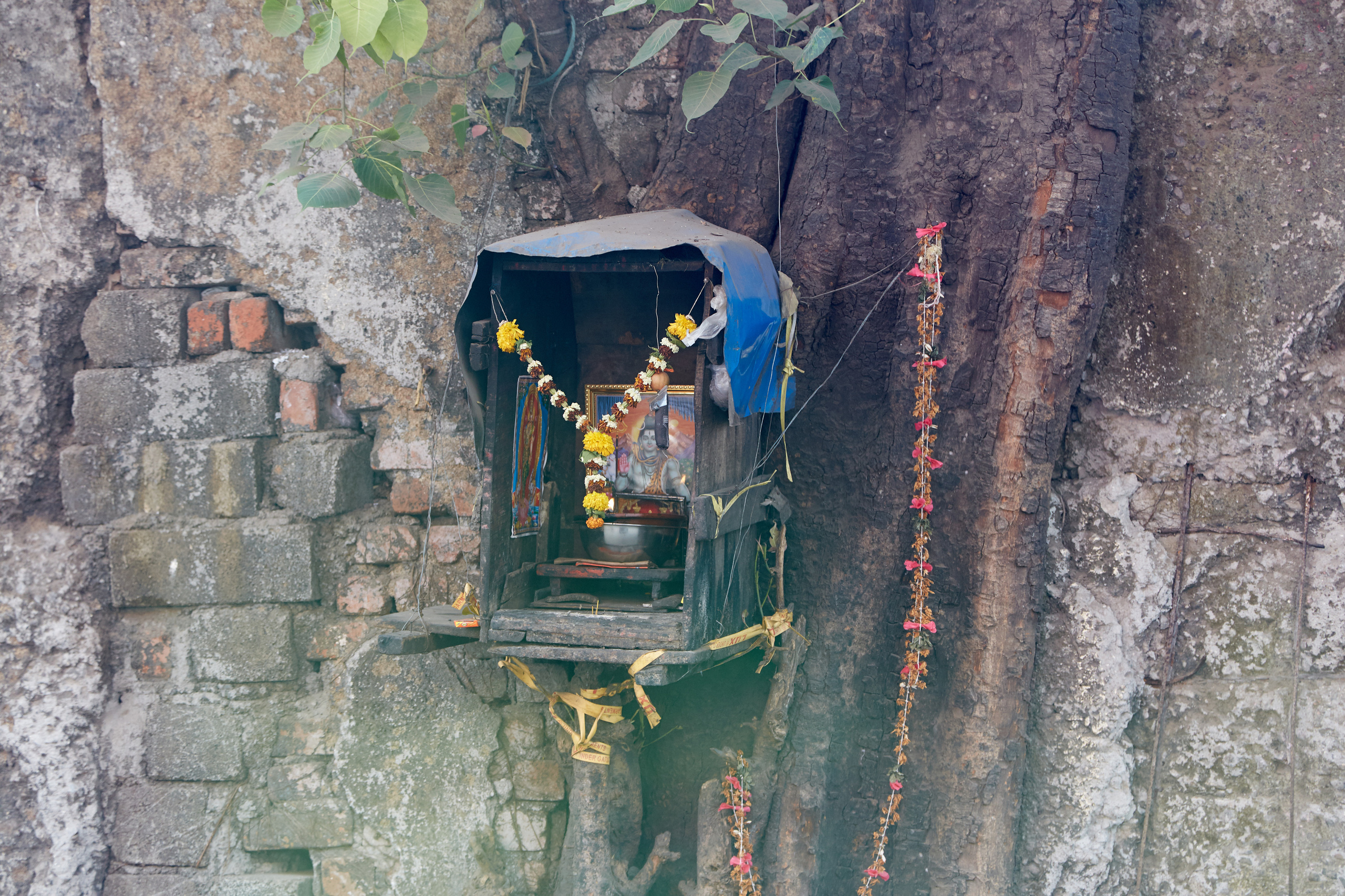 Индия. ГОА, Мумбай, Аджента, Аурангобад. Креативный фотограф в Москве