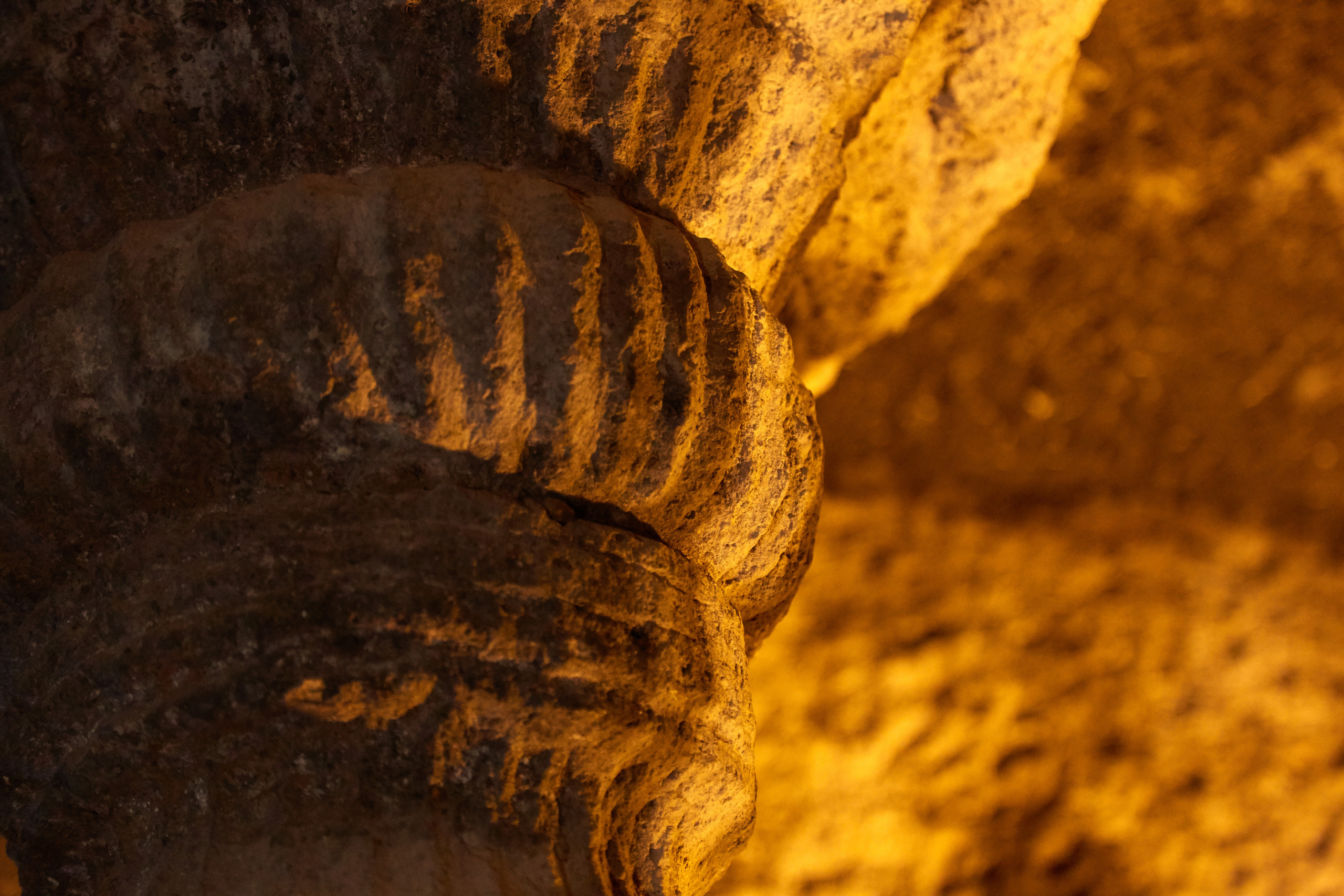 Индия. ГОА, Мумбай, Аджента, Аурангобад. Креативный фотограф в Москве