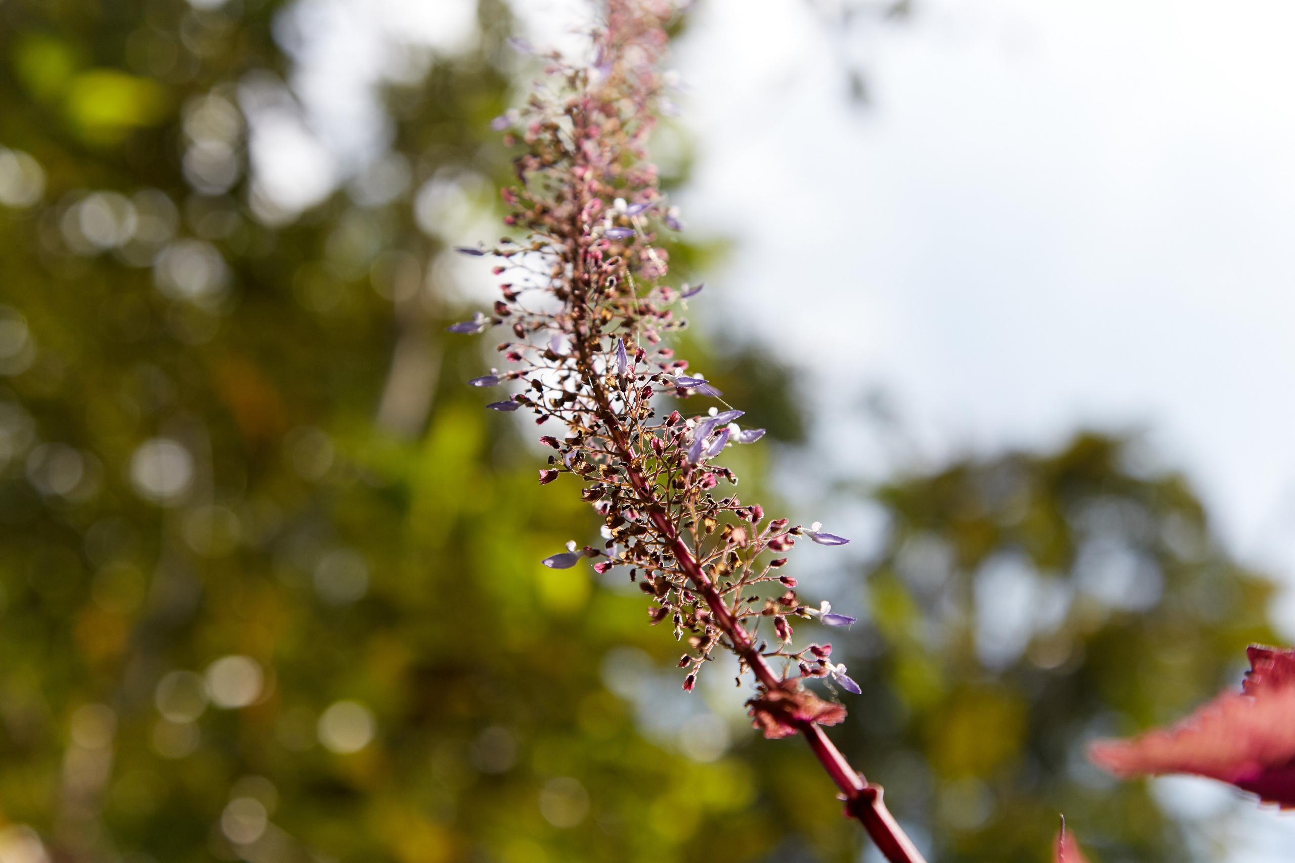 Индия. ГОА, Мумбай, Аджента, Аурангобад. Креативный фотограф в Москве