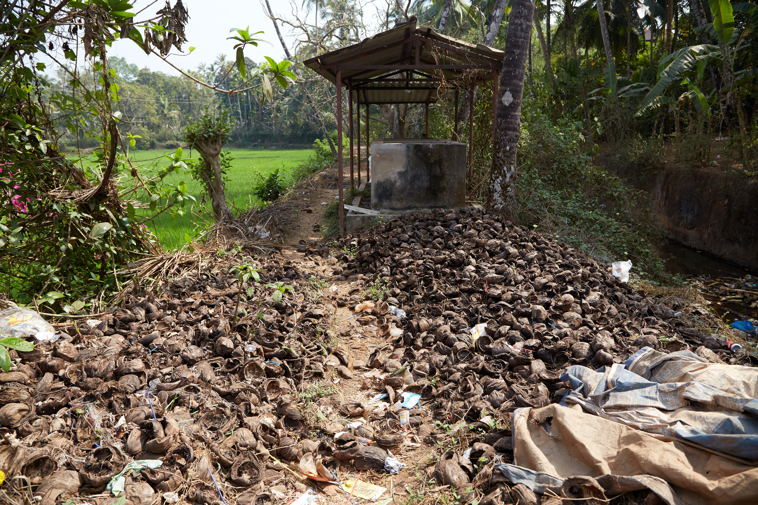 Индия. ГОА, Мумбай, Аджента, Аурангобад. Креативный фотограф в Москве