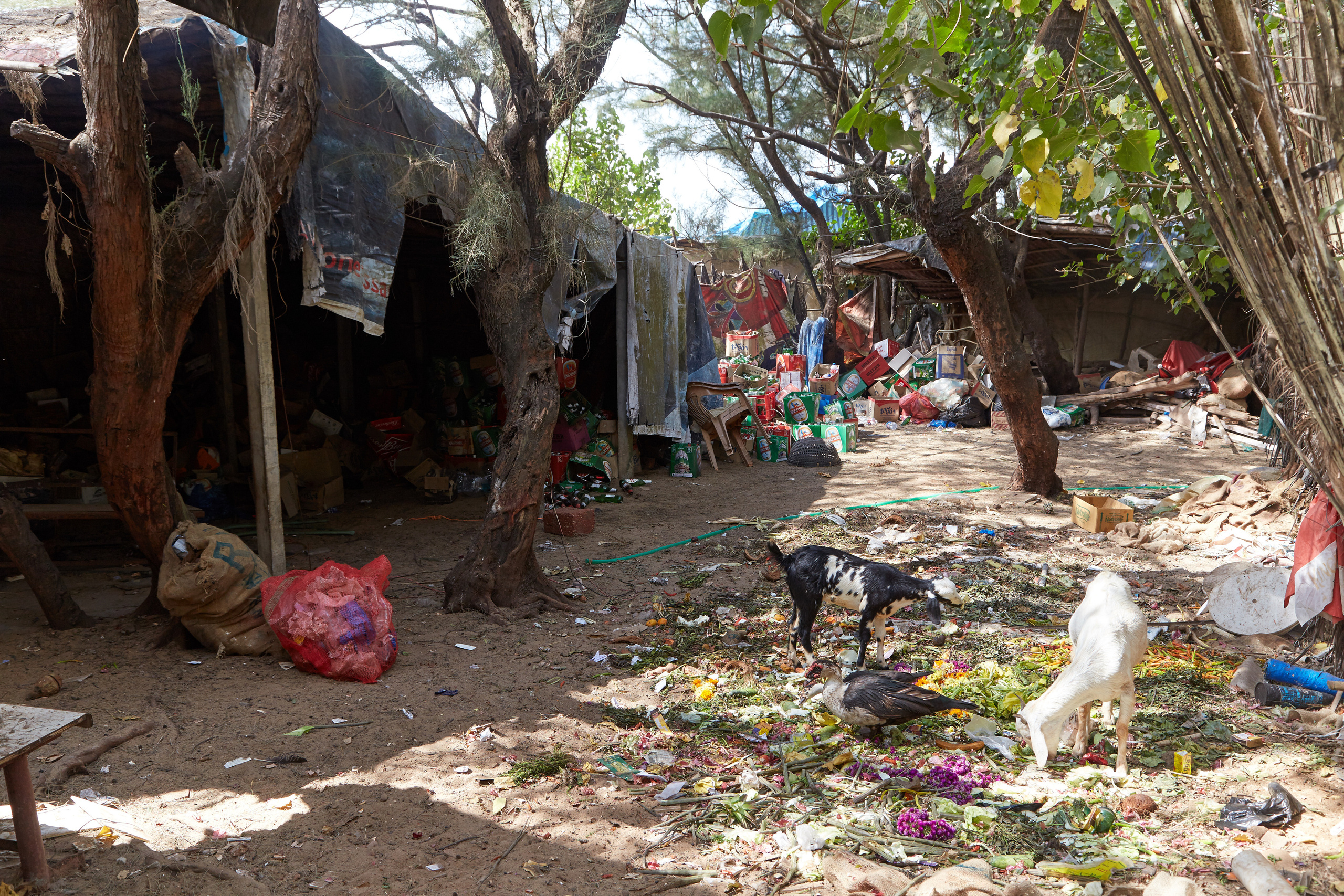 Индия. ГОА, Мумбай, Аджента, Аурангобад. Креативный фотограф в Москве