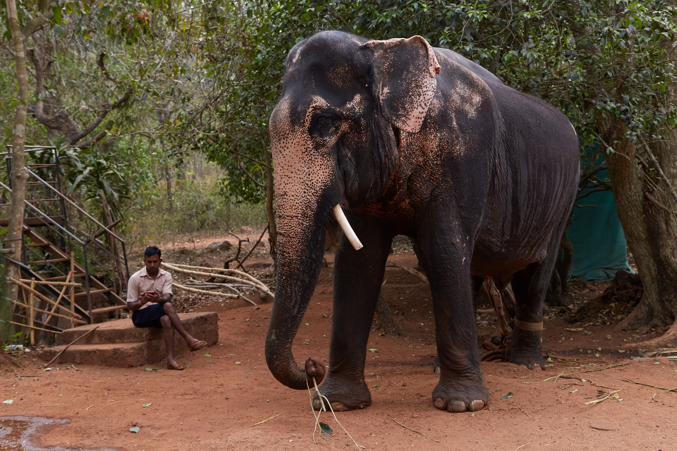 Индия. ГОА, Мумбай, Аджента, Аурангобад. Креативный фотограф в Москве