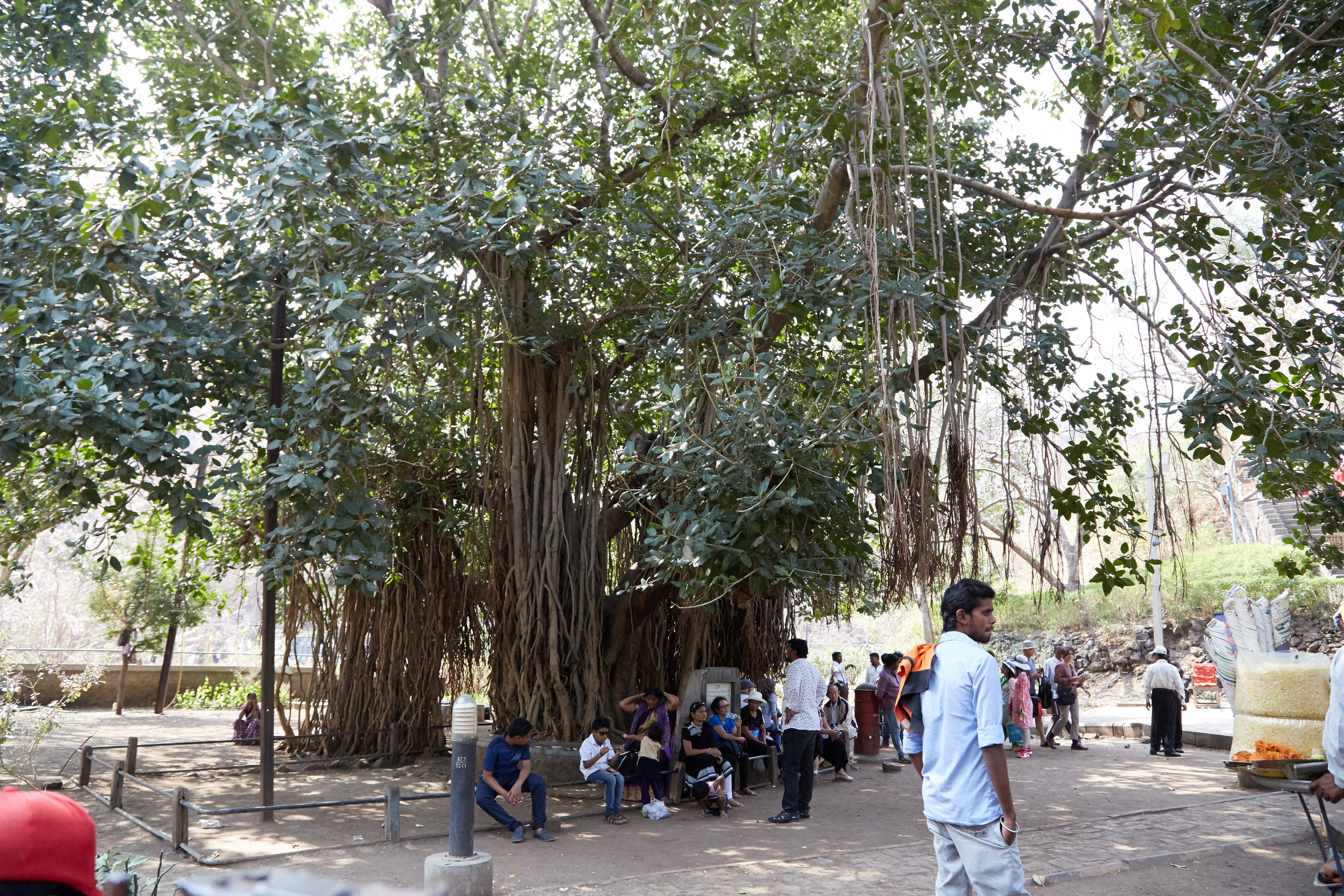 Индия. ГОА, Мумбай, Аджента, Аурангобад. Креативный фотограф в Москве
