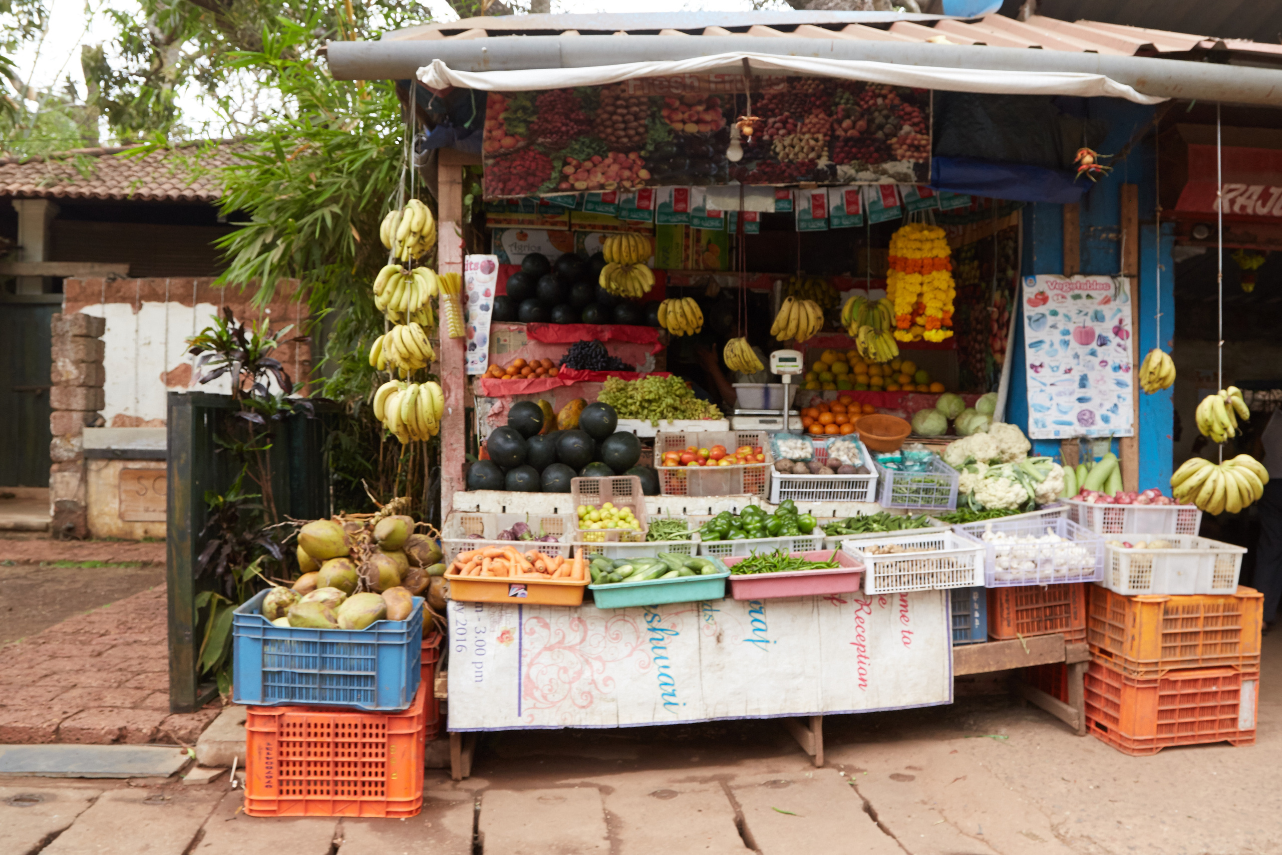 Индия. ГОА, Мумбай, Аджента, Аурангобад. Креативный фотограф в Москве
