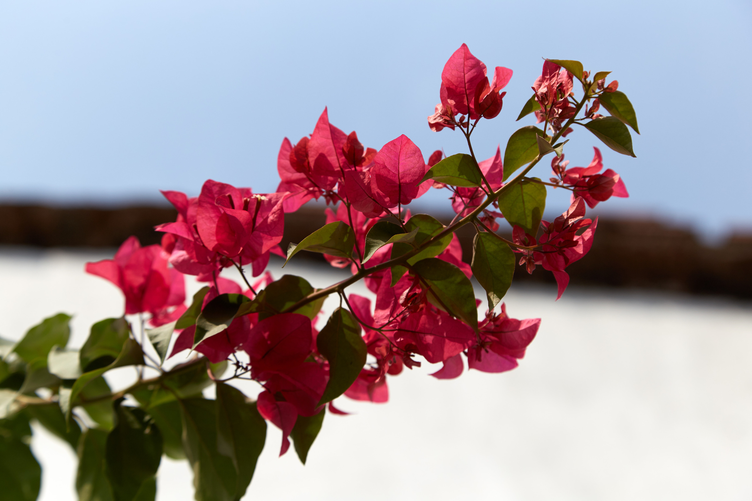 Индия. ГОА, Мумбай, Аджента, Аурангобад. Креативный фотограф в Москве