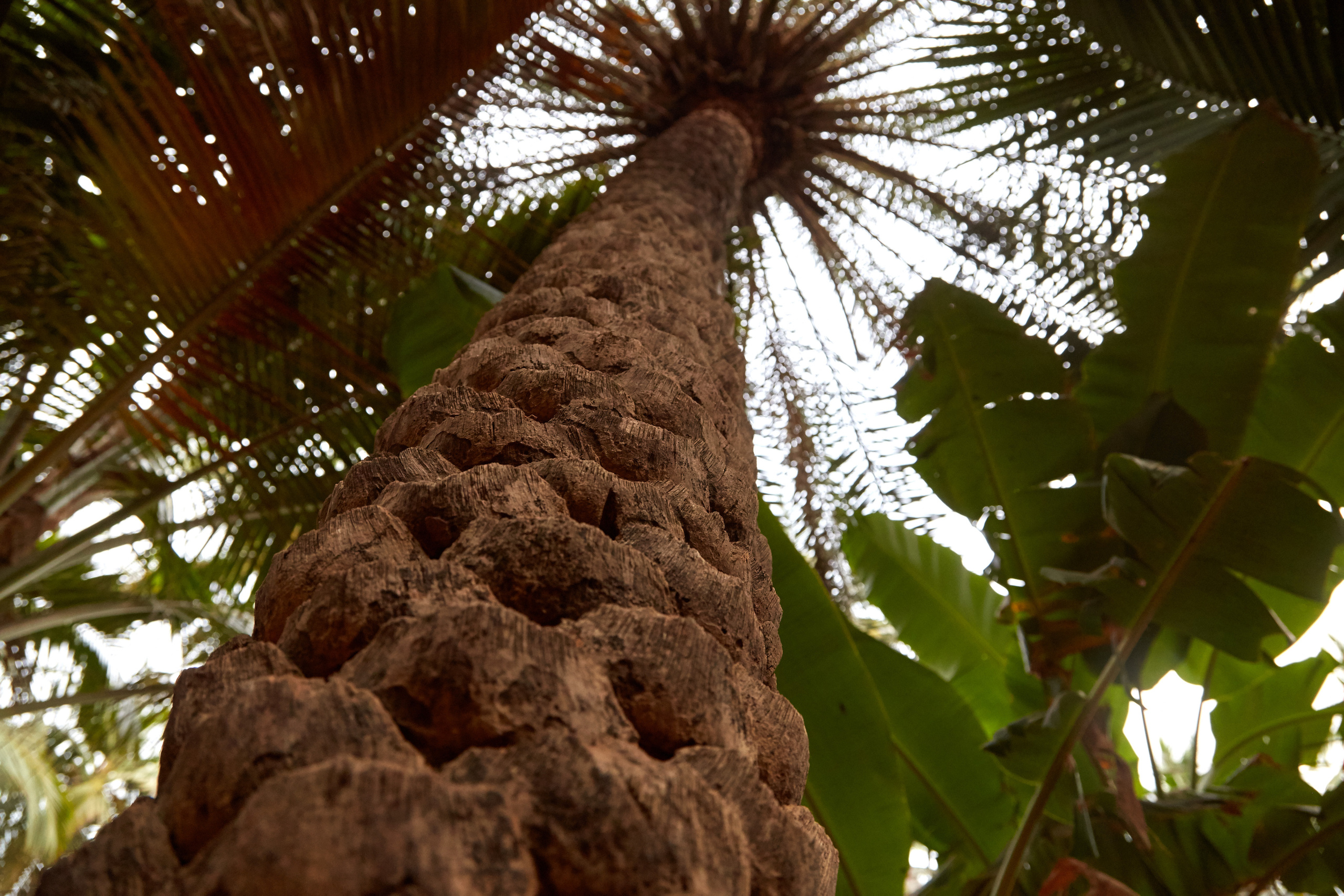 Индия. ГОА, Мумбай, Аджента, Аурангобад. Креативный фотограф в Москве