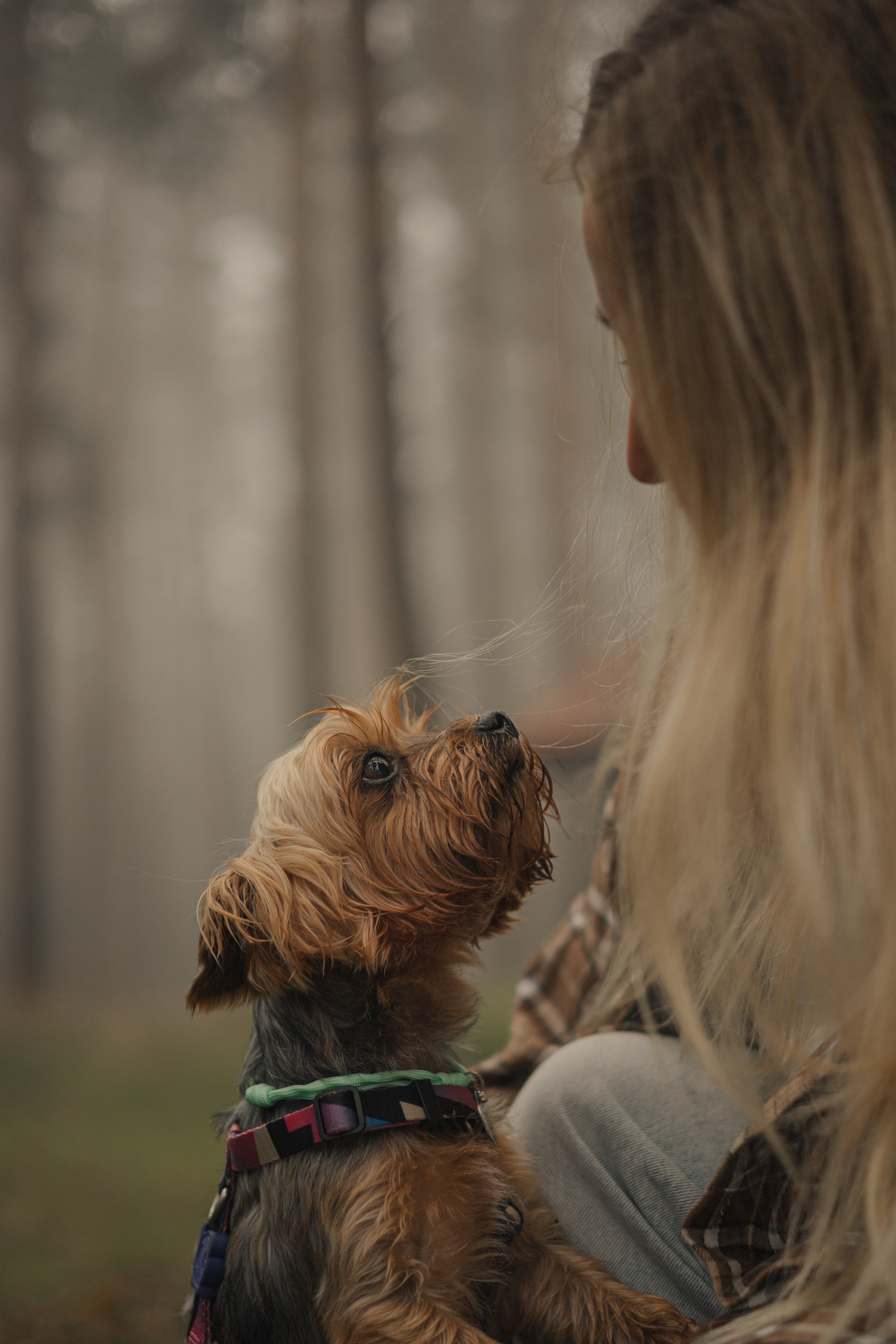 Наташа & Оззи & Йоша. Фотограф — анималист •love-story•|Санкт-Петербург