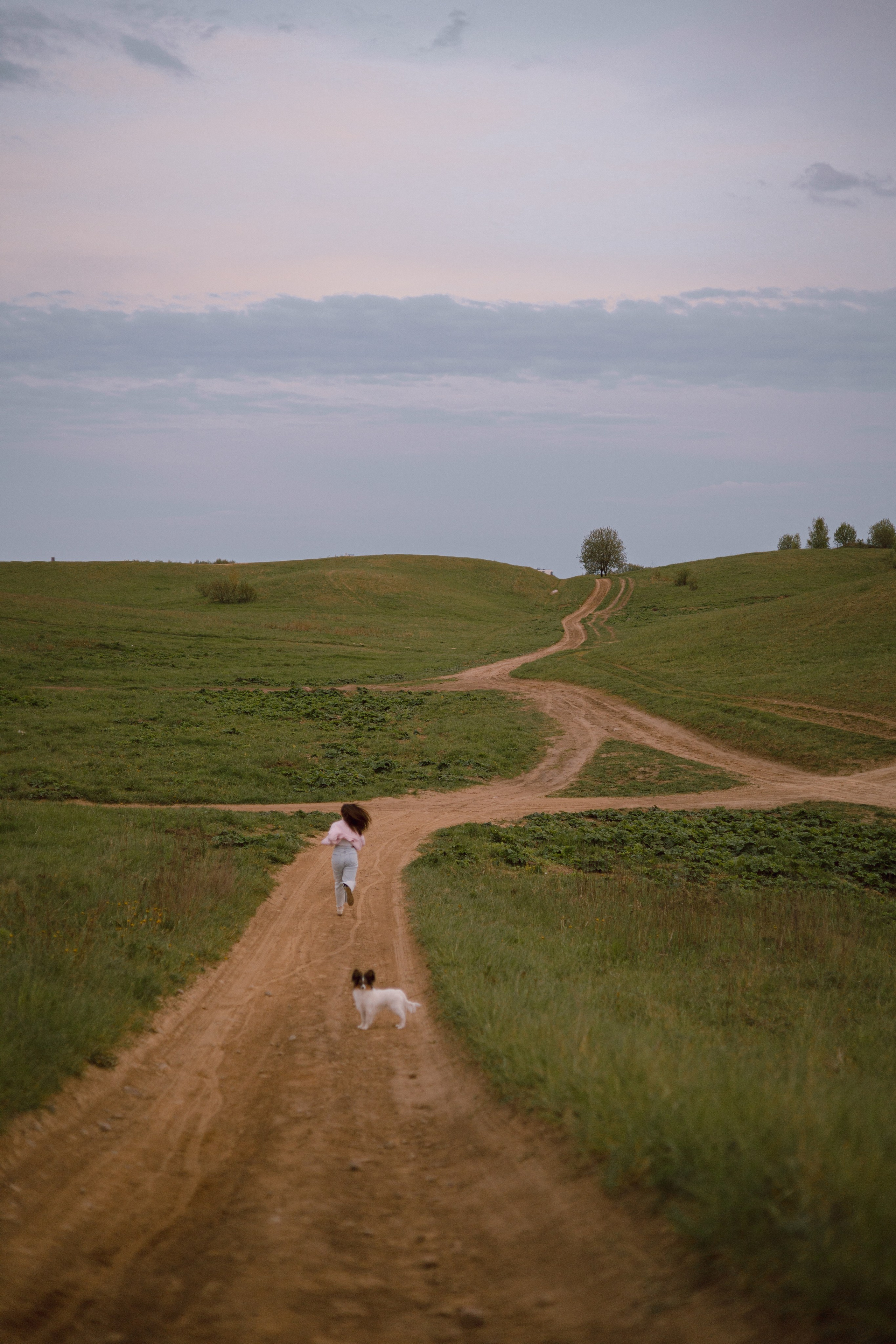 Вика и Бруни. Фотограф — анималист •love-story•|Санкт-Петербург