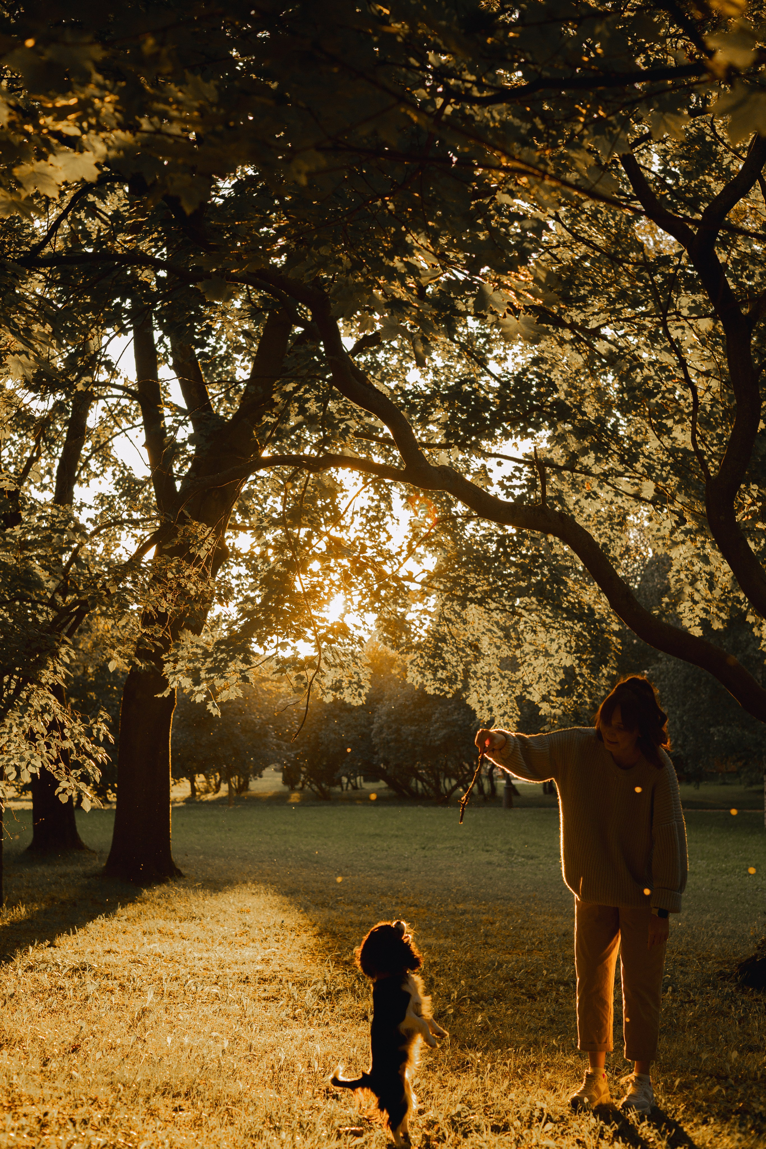 Светлана & Стеша & Настя. Фотограф — анималист •love-story•|Санкт-Петербург