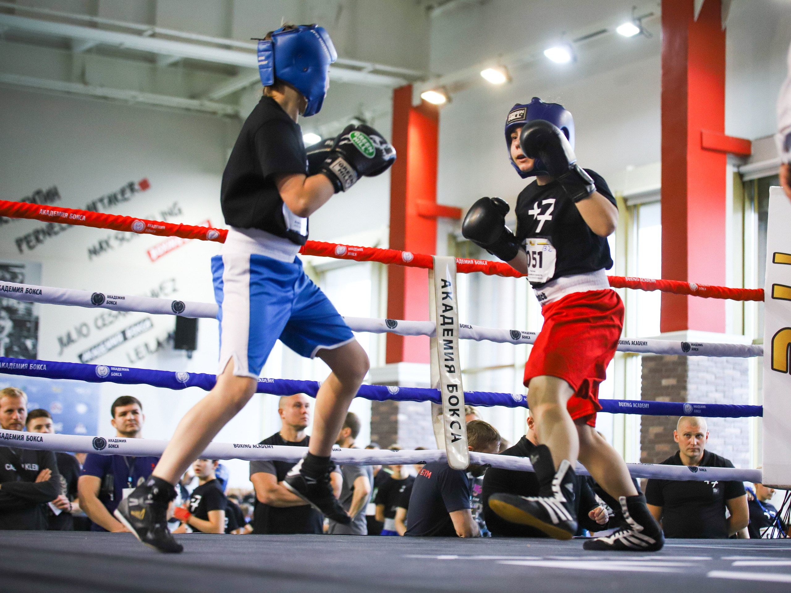 Рой Джонс в Академии спорта. Фотограф и видеограф в Москве Ирина Фомочкина