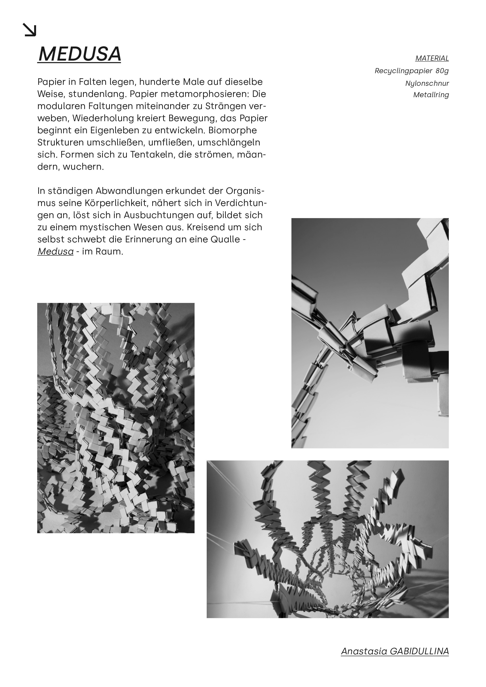 Medusa. Sia Levine Design