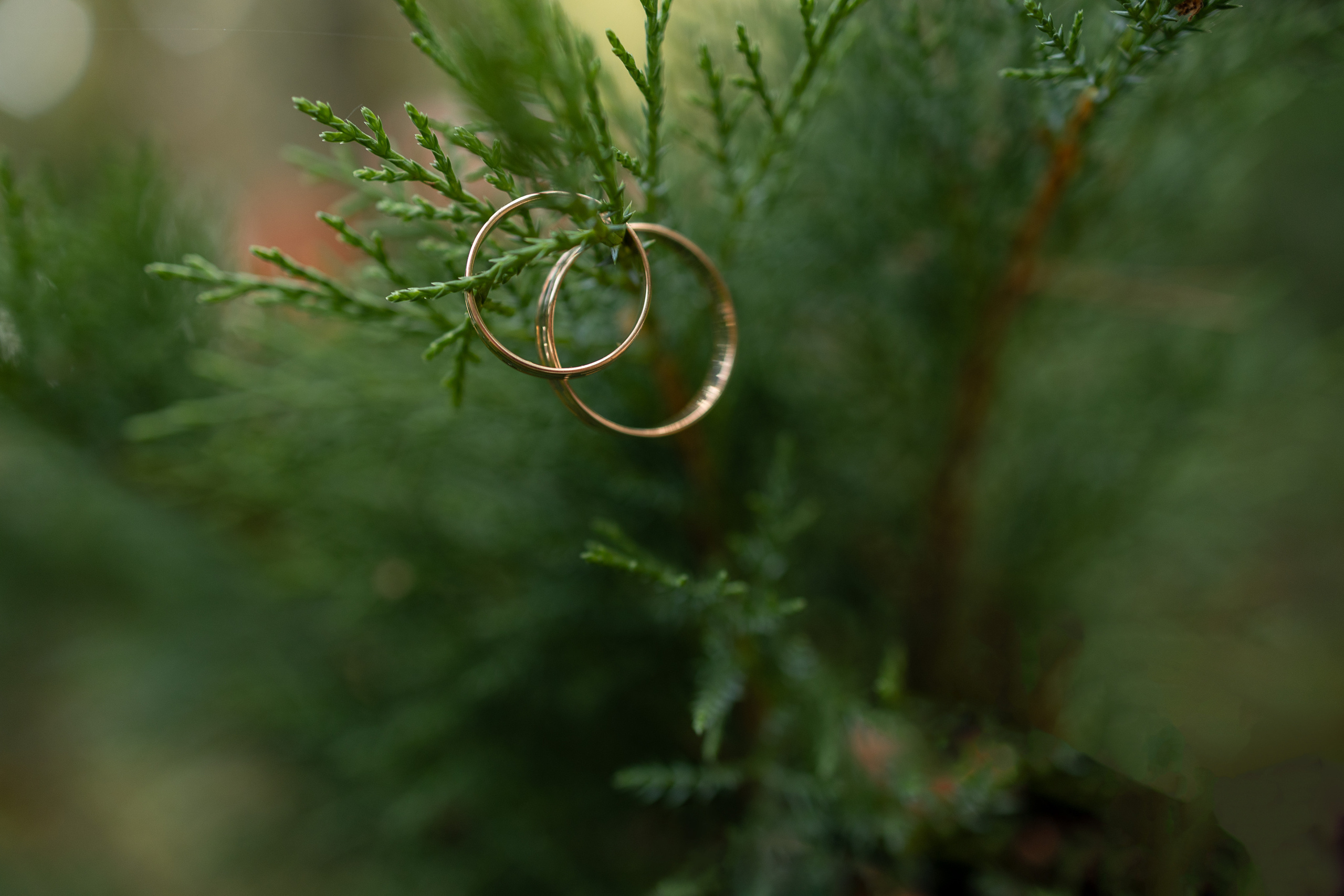 Оксана & Юрий. Фотограф Виктория Бурова