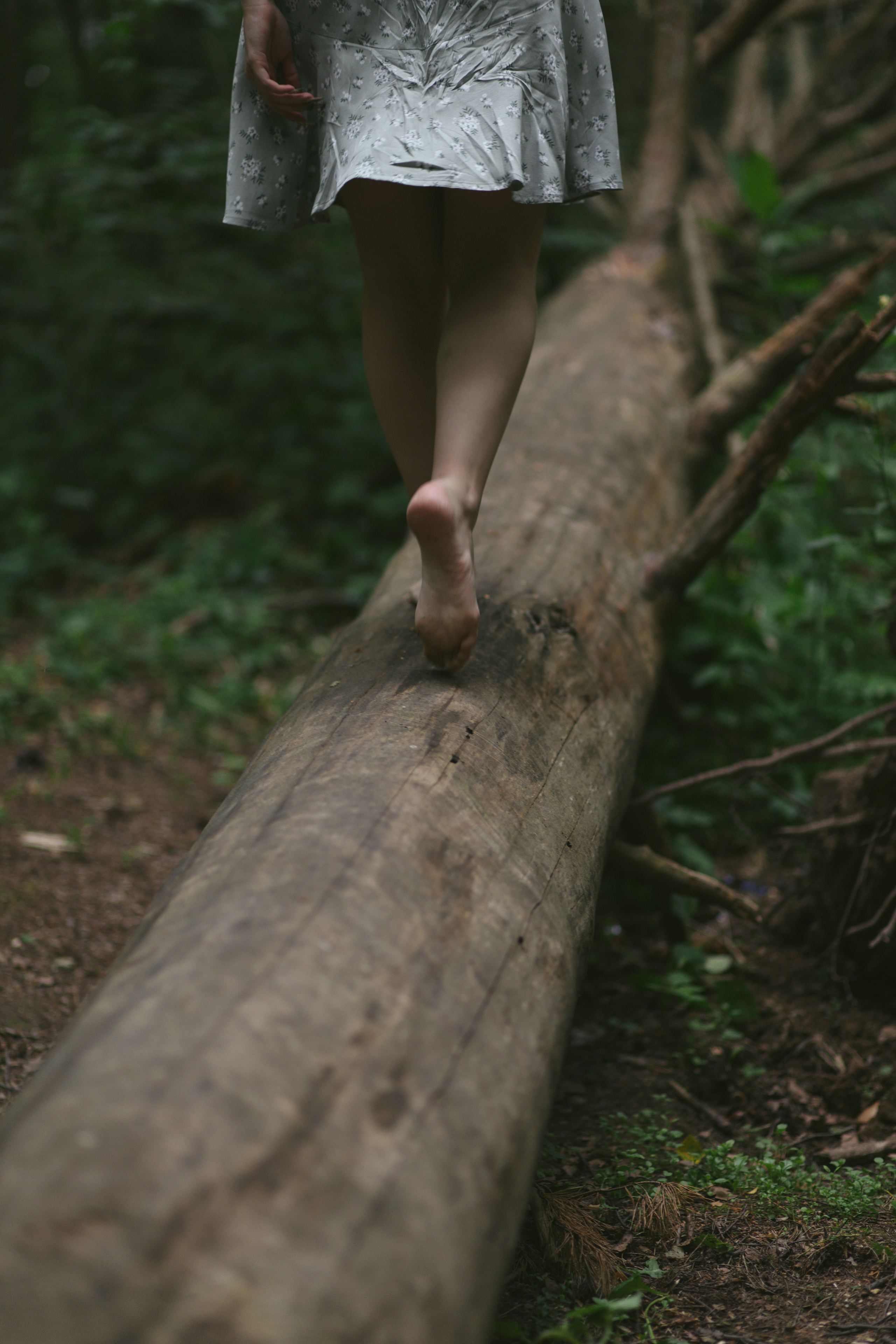 Виктория. Фотограф Виктория Бурова