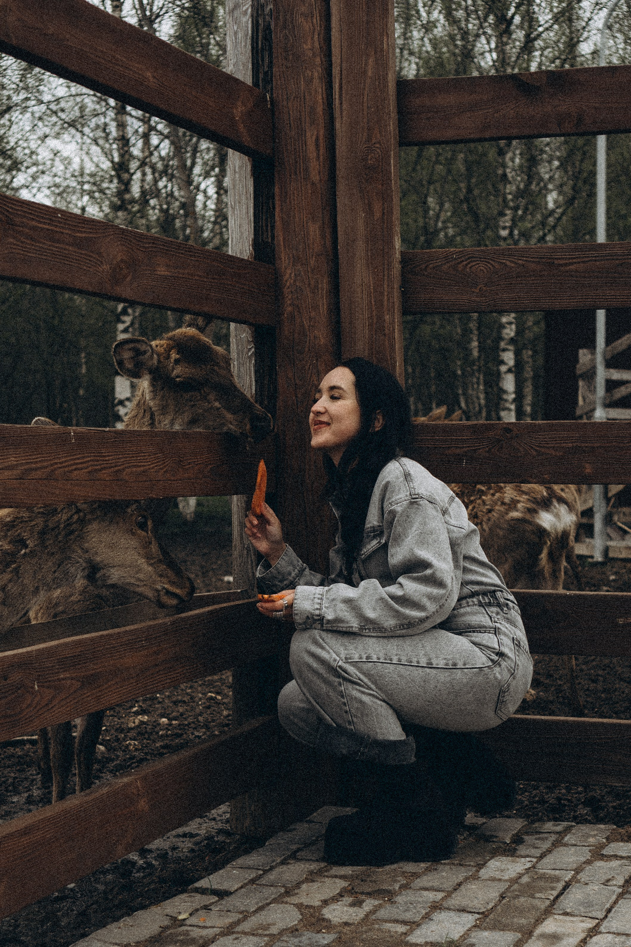 ОЛЕНЬЯ ФЕРМА В ТВЕРИ. Профессиональный фотограф, Санкт-Петербург — Виктория Богомолова
