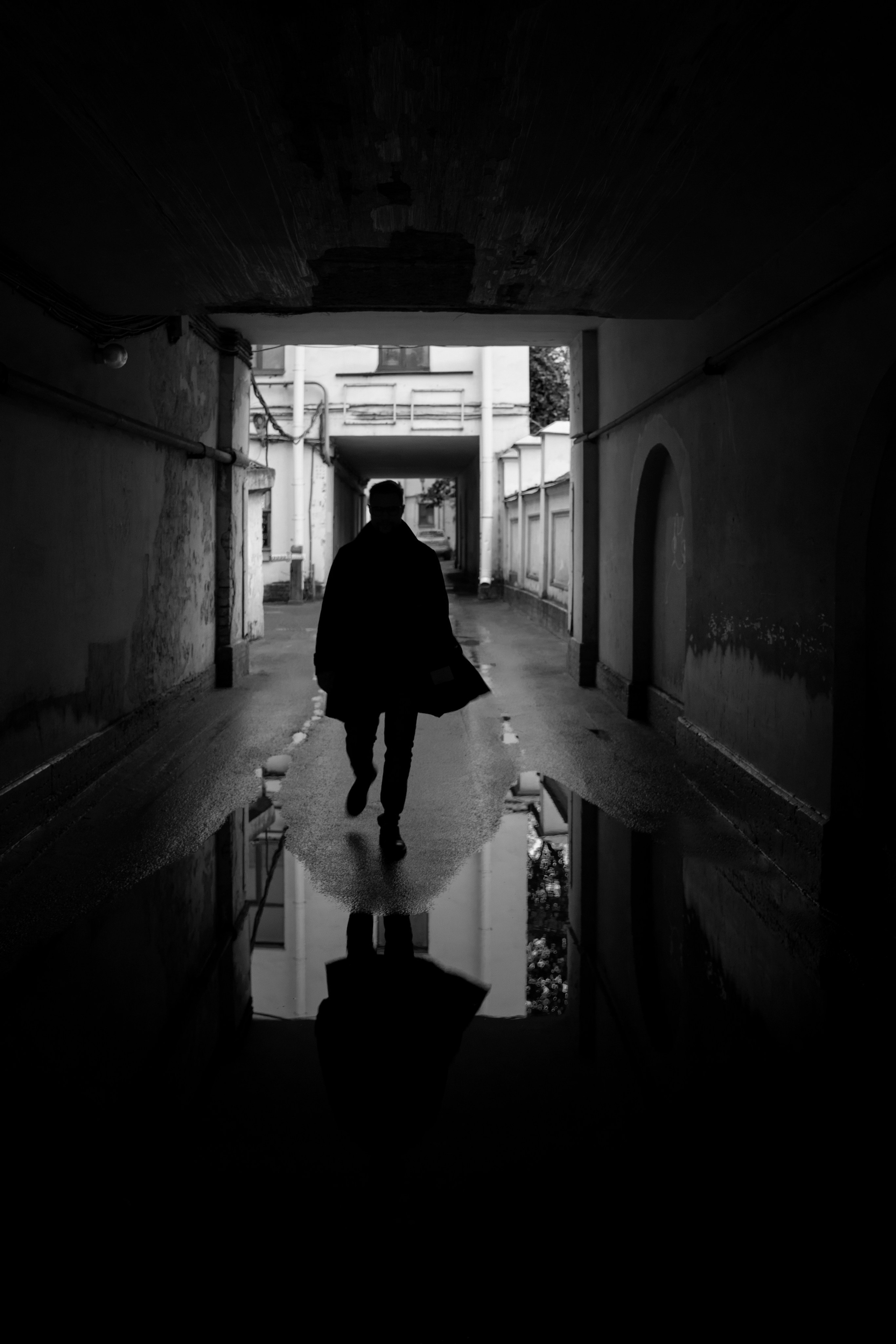 Черно-белое. Екатерина Чаечка