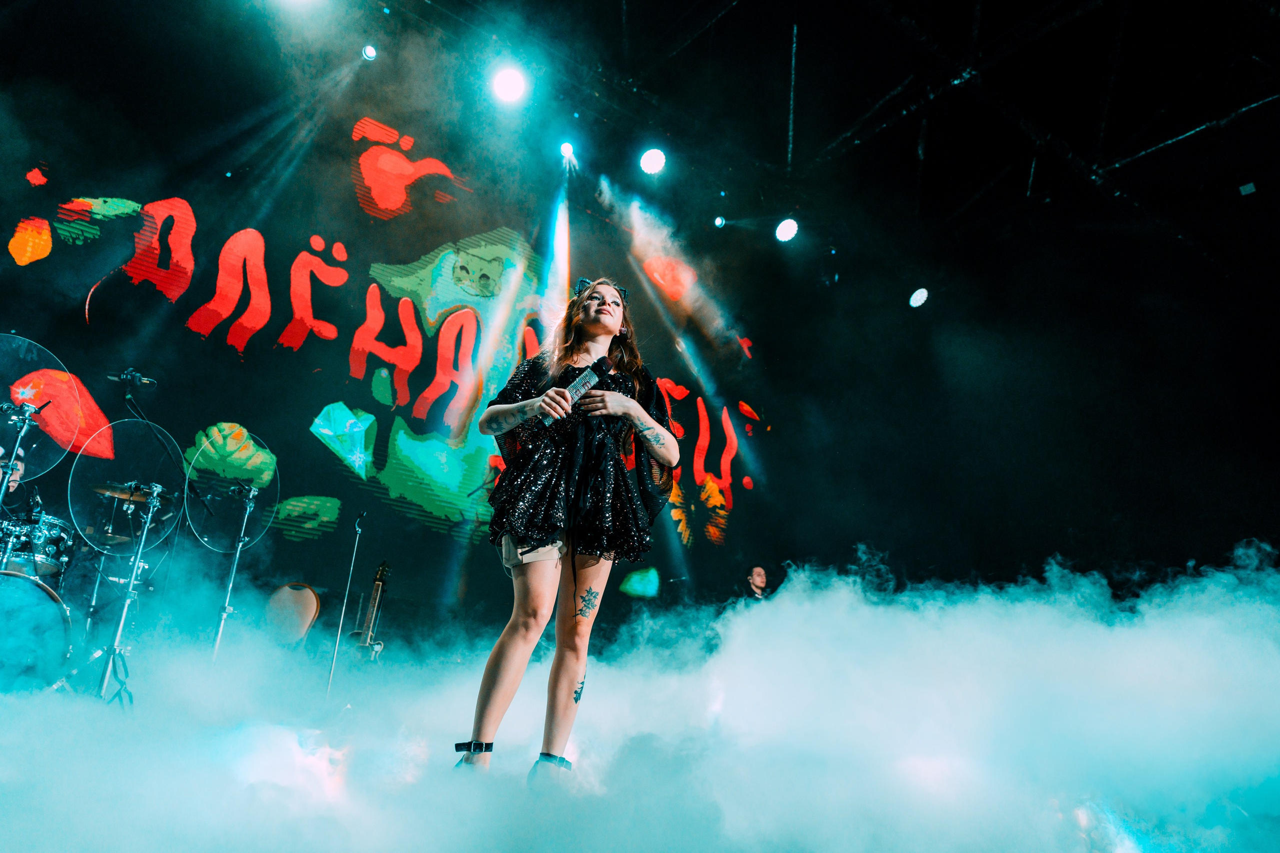 Алена Швец. Магия музыки в кадре: Концертная Фотография